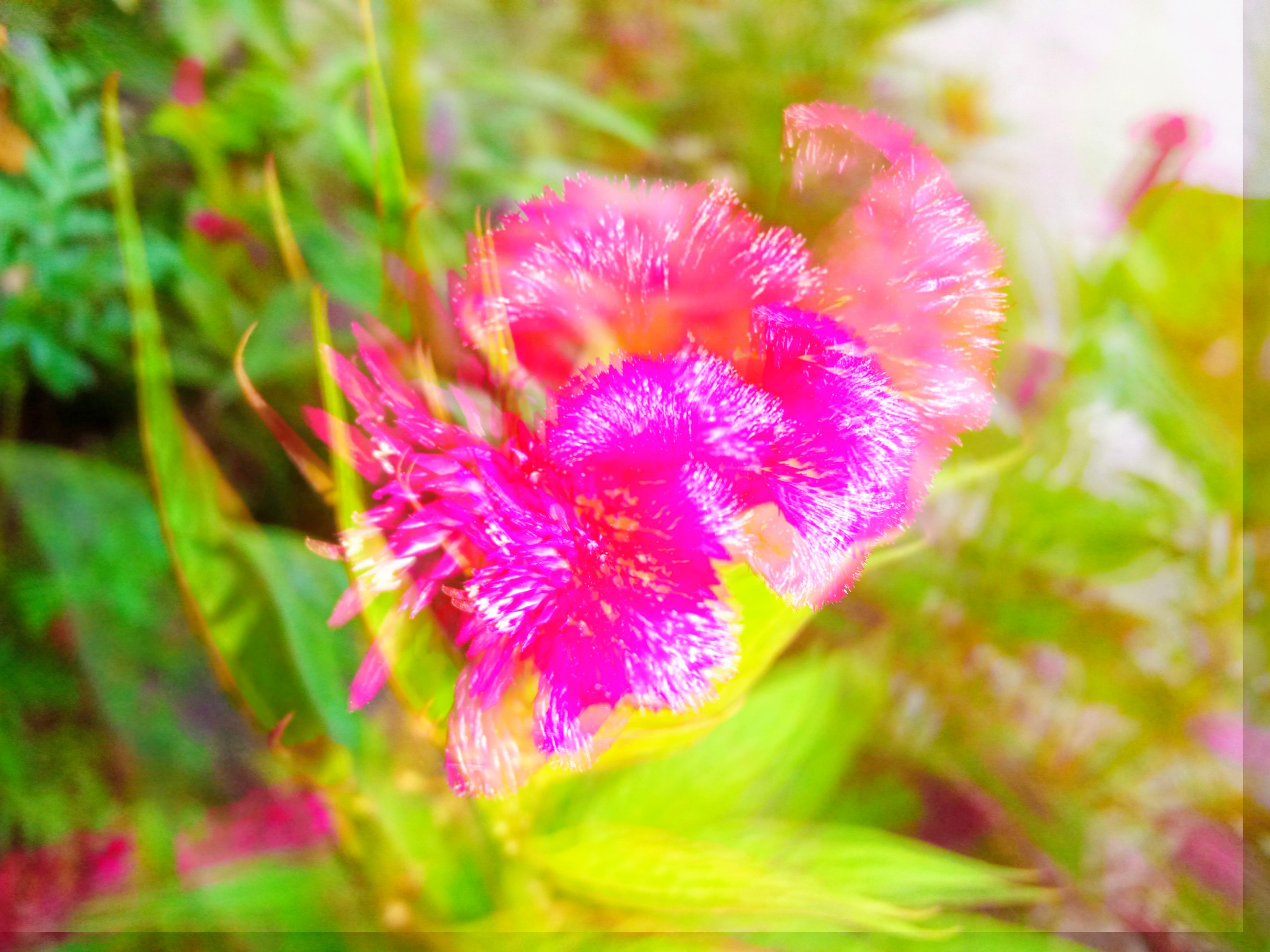 PicsArt_01-14-08.36.26~2.jpg