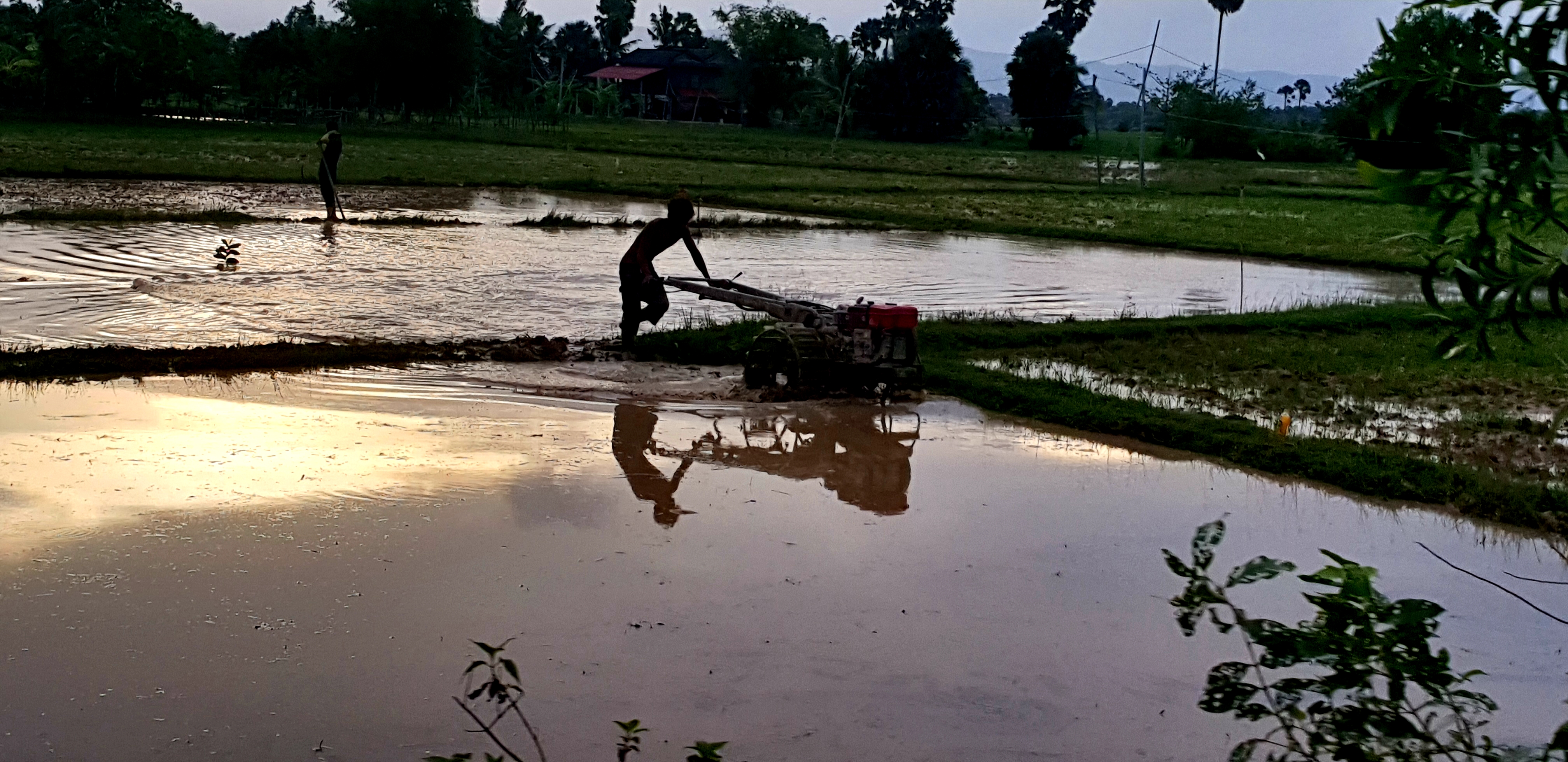 20180726_052809.jpg