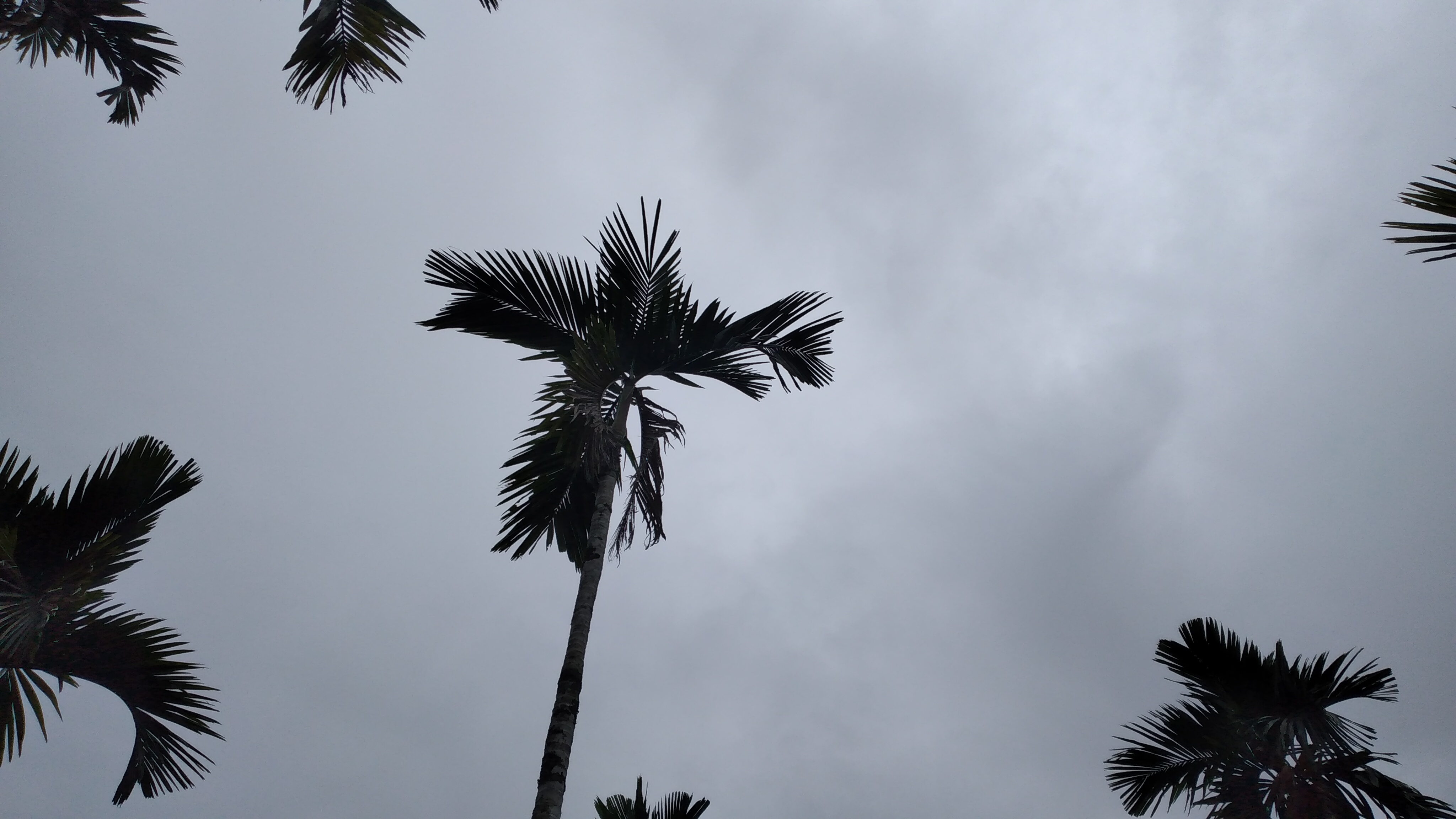 20221016_160710.jpg