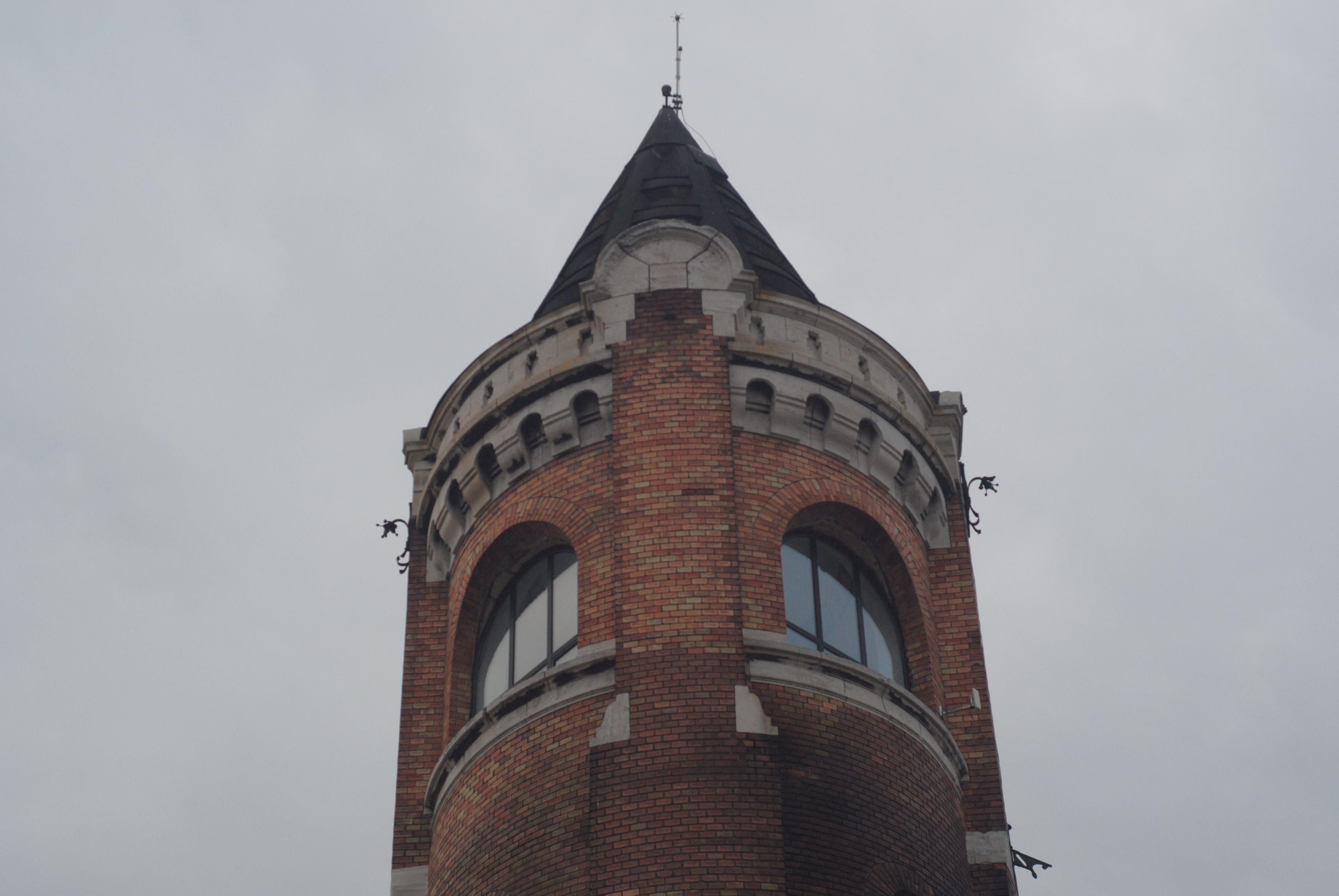 DSC_9174.JPG