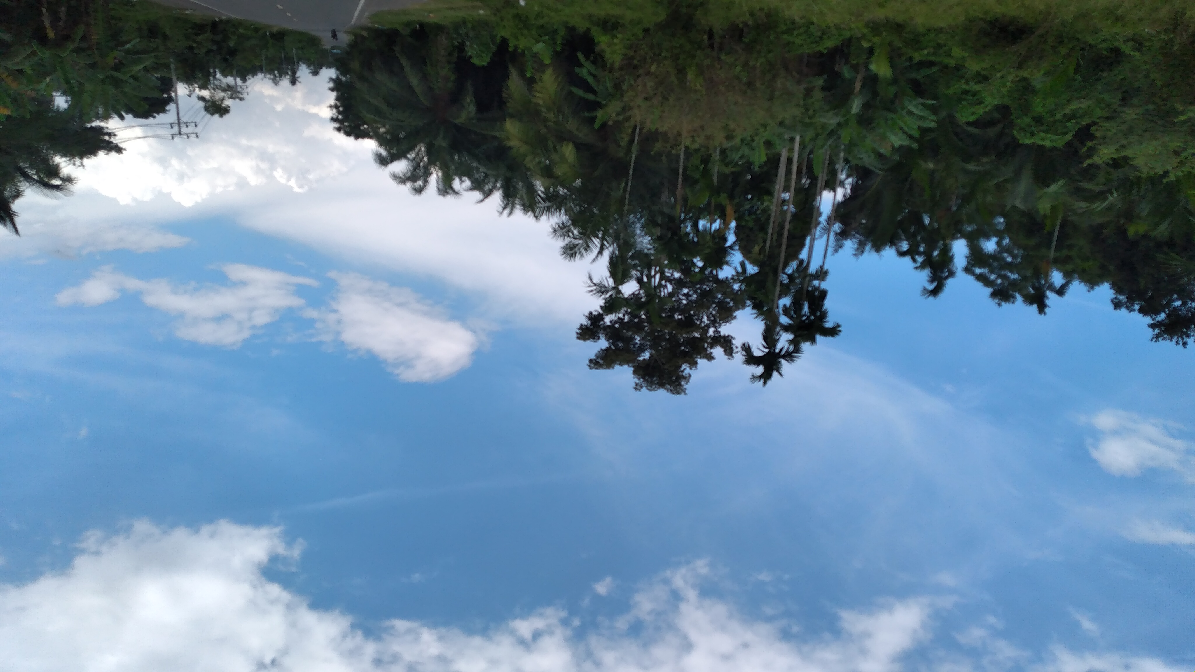 20220926_141339.jpg