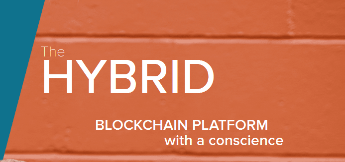 Smilo The Hybrid Blockchain Platform(4).png