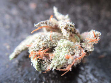 closeupmicroweup272.jpg