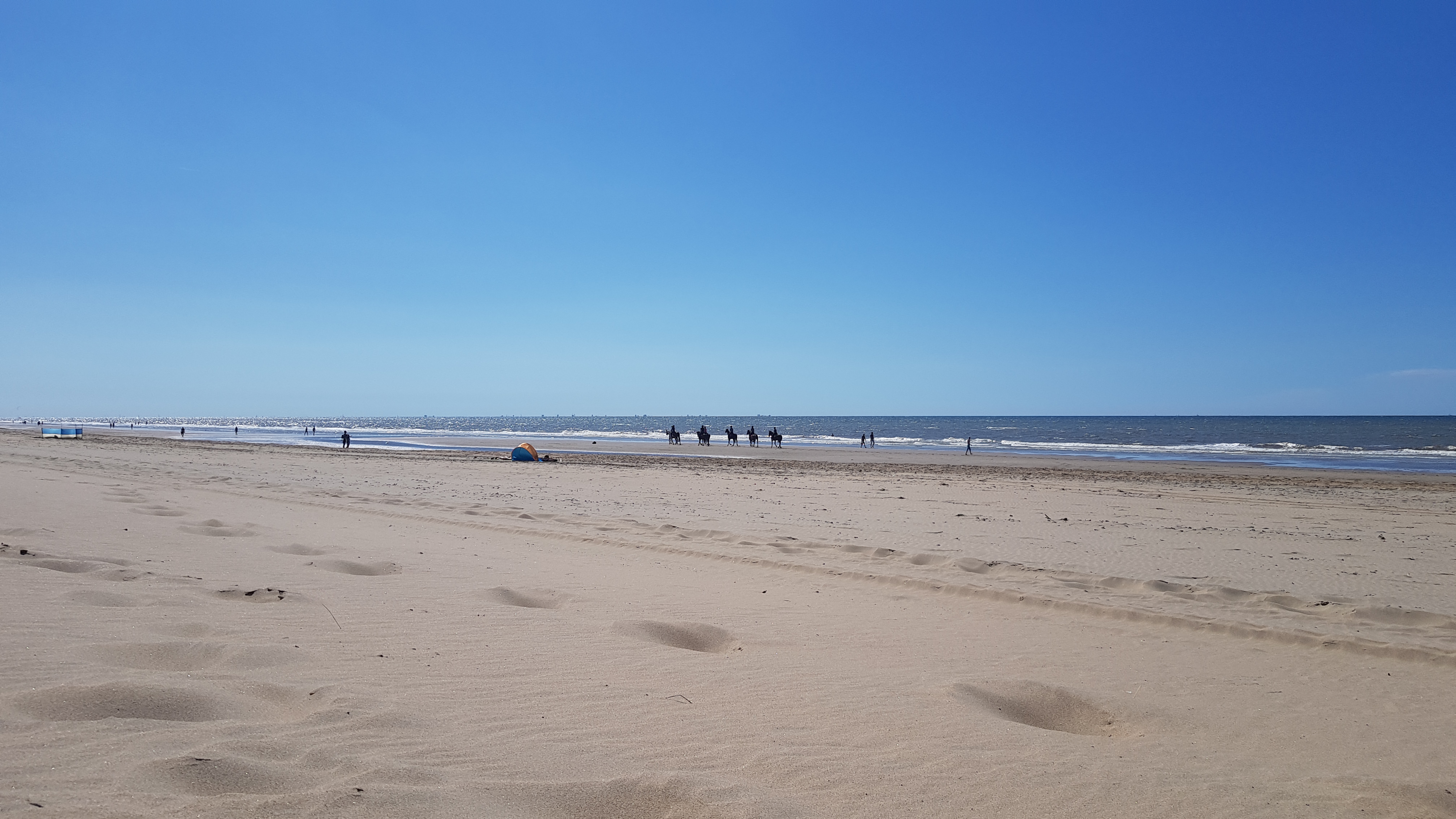 20180805_153751.jpg