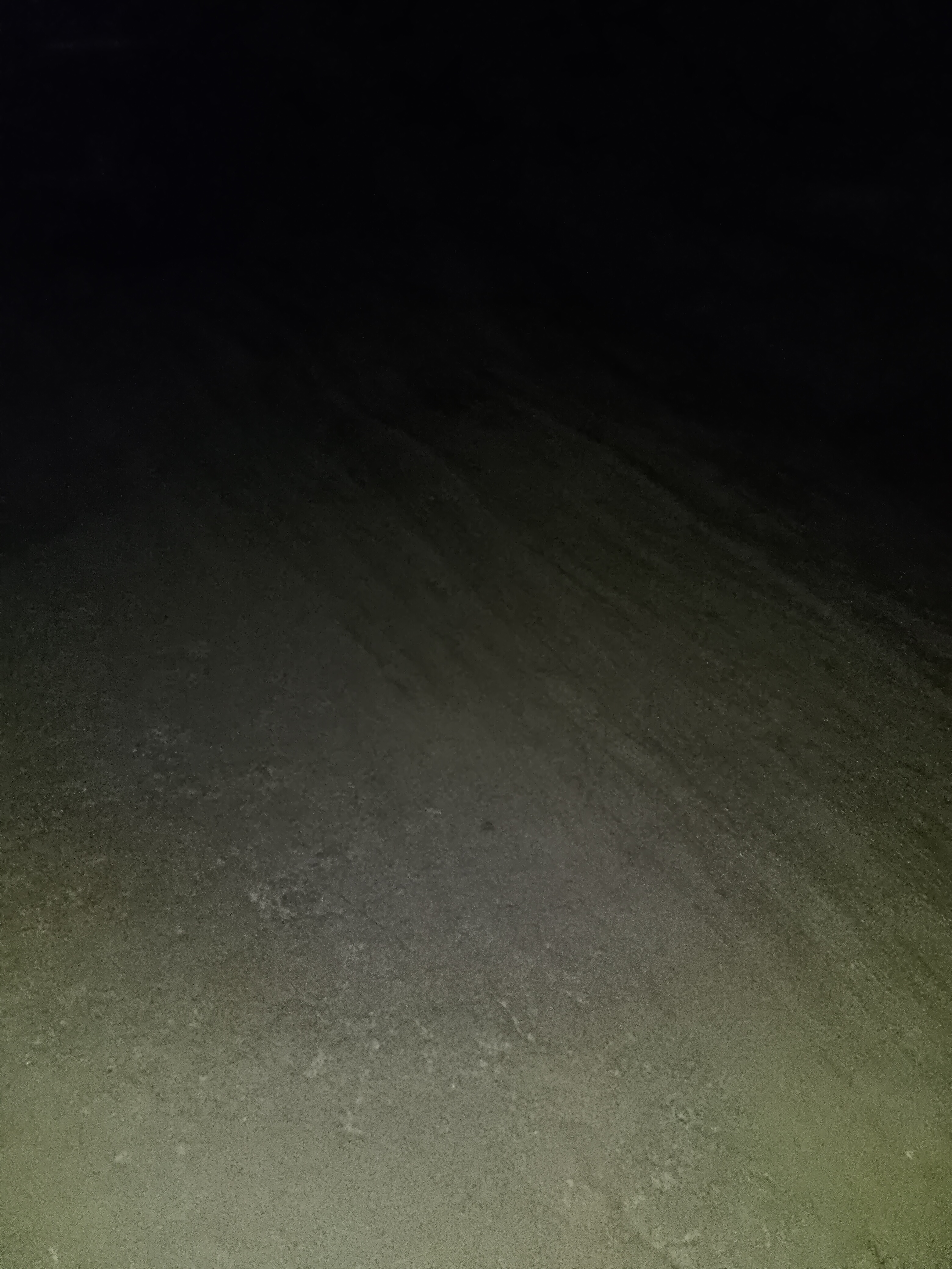 1000524560.jpg