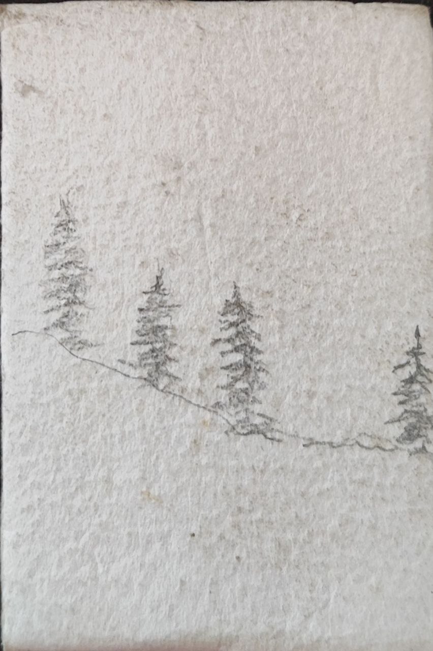 winter-forests.jpg