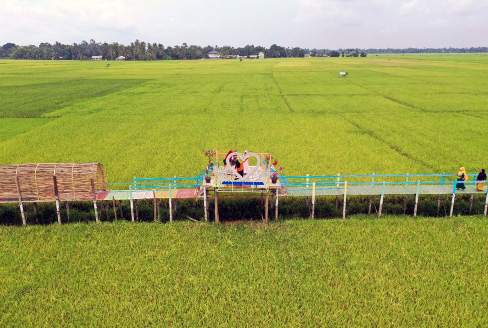 Wisata Sawah_01.jpg