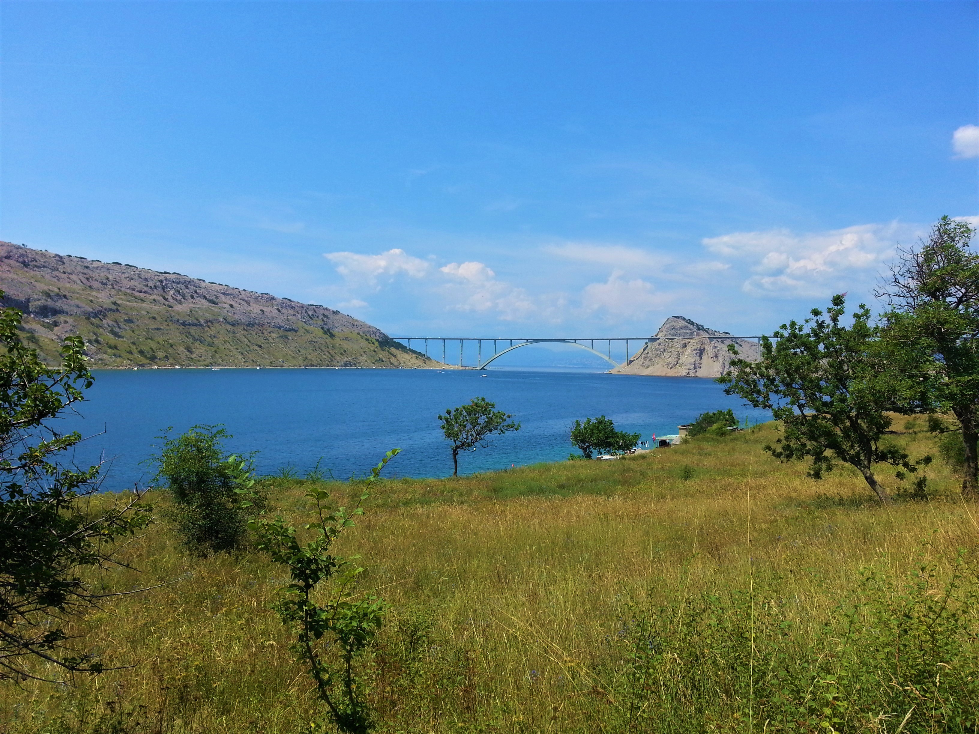 20180729_134214 (3).jpg