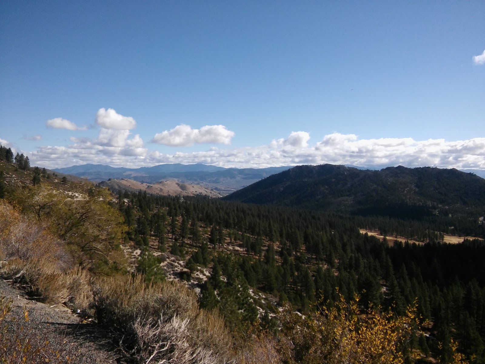 mountain1.jpg