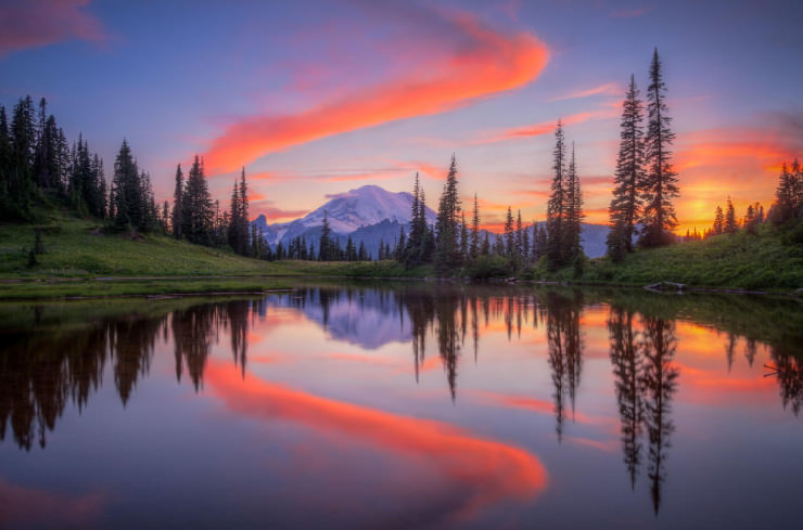 Tipsoo-Photo-by-Aaron-Huang.jpg