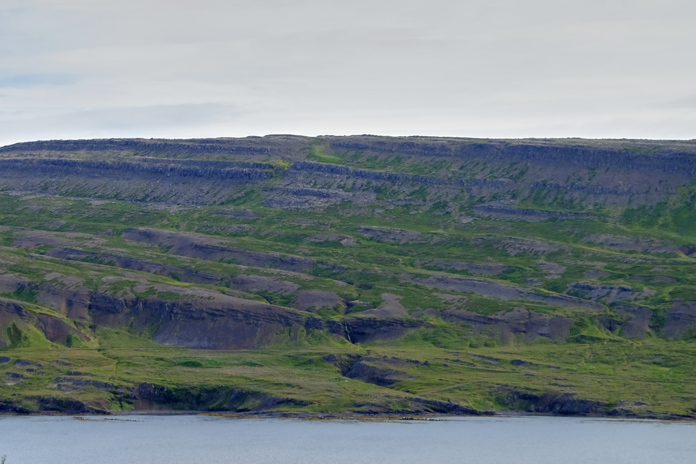 DSCF4495.jpg