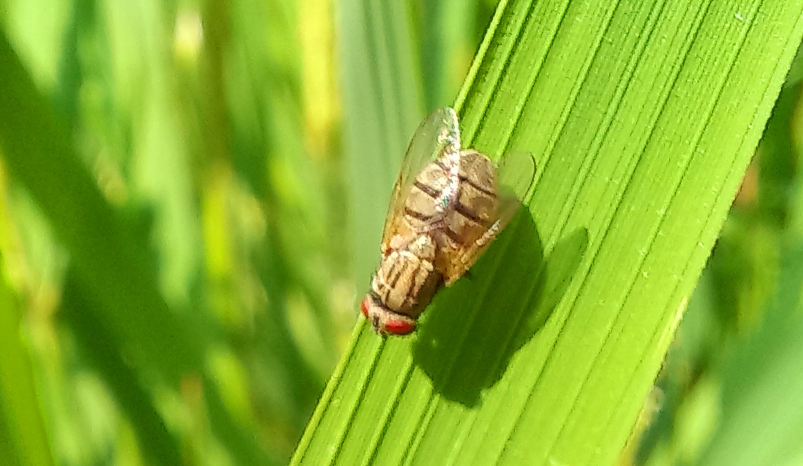 20221017_123551.jpg