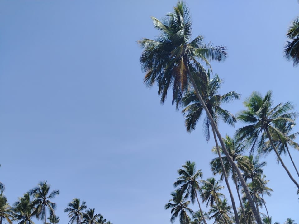 1001519188.jpg