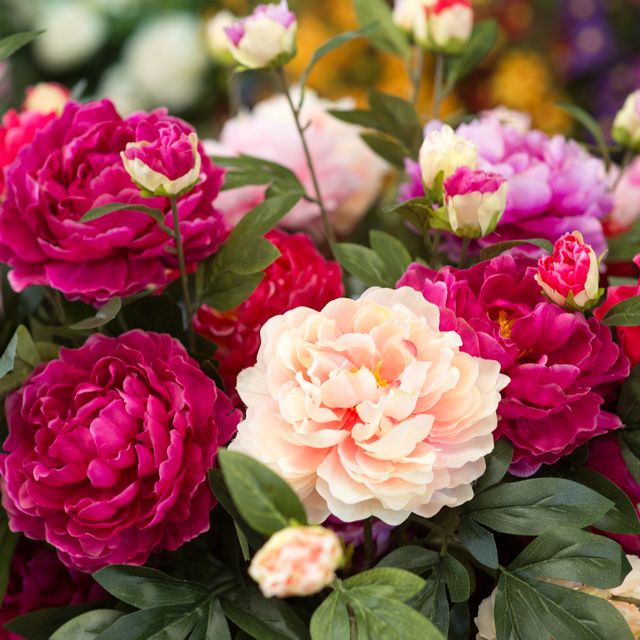 image_downloader_1619510987558.jpg