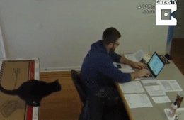 cbfcee18gy1fy3t9ooliqg207804p7mh.gif