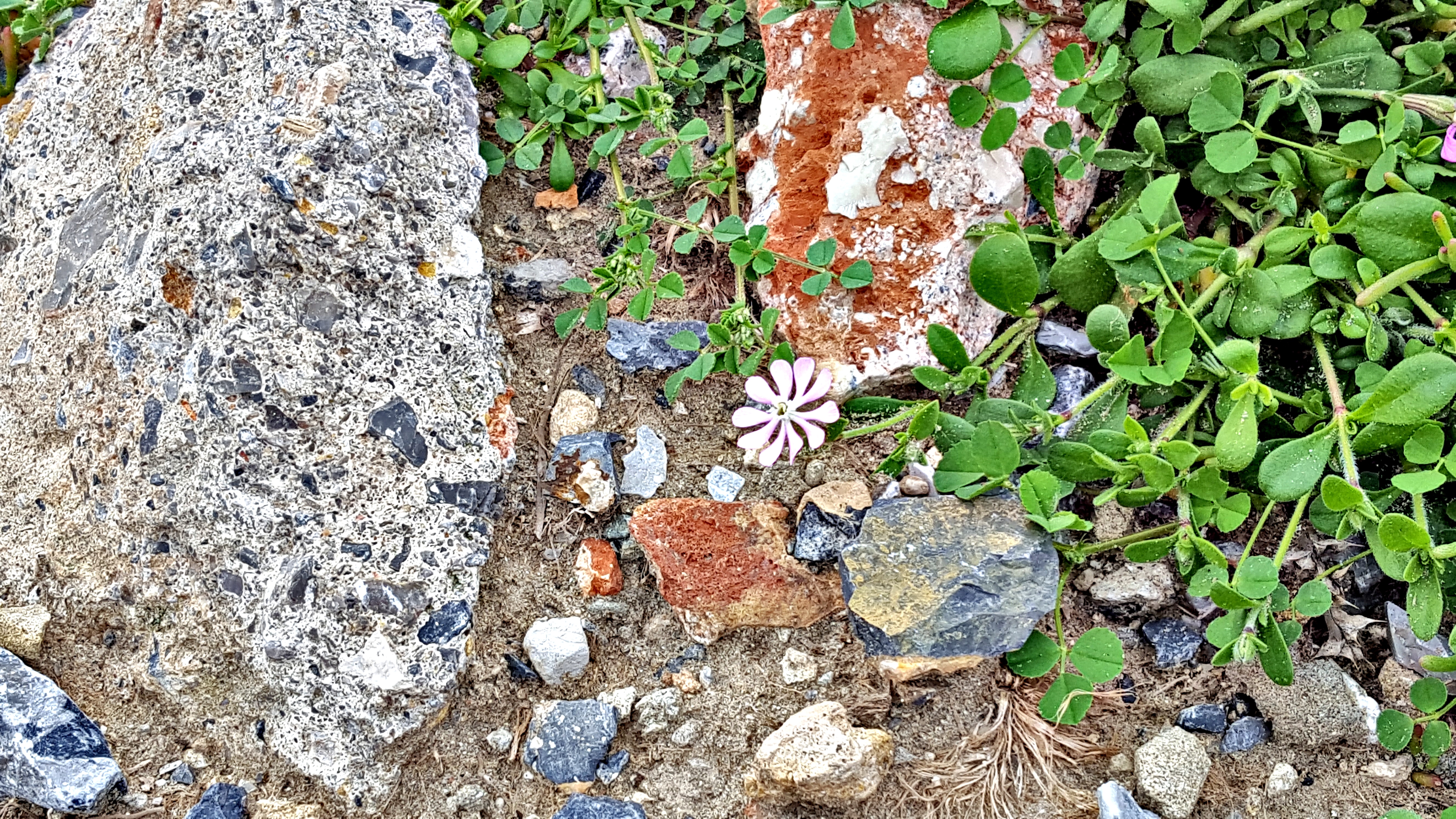 20190302_182023.jpg