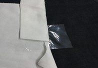 Picture13.jpg