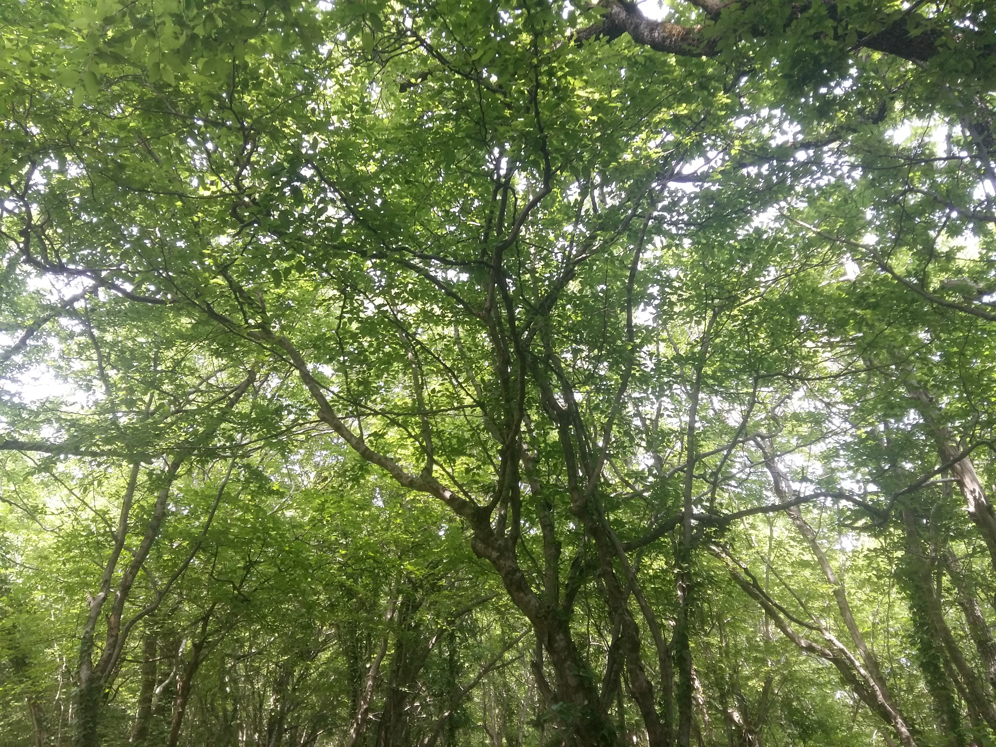 20180504_142218.jpg