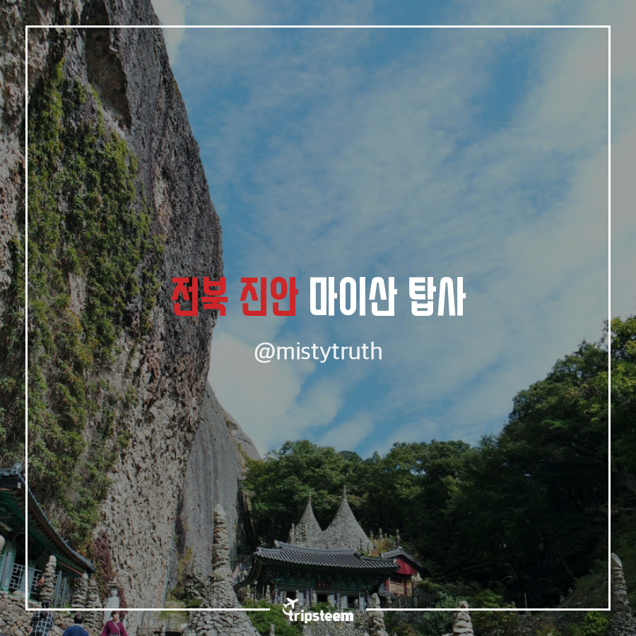 tyle-mlf-10-1541338218.png