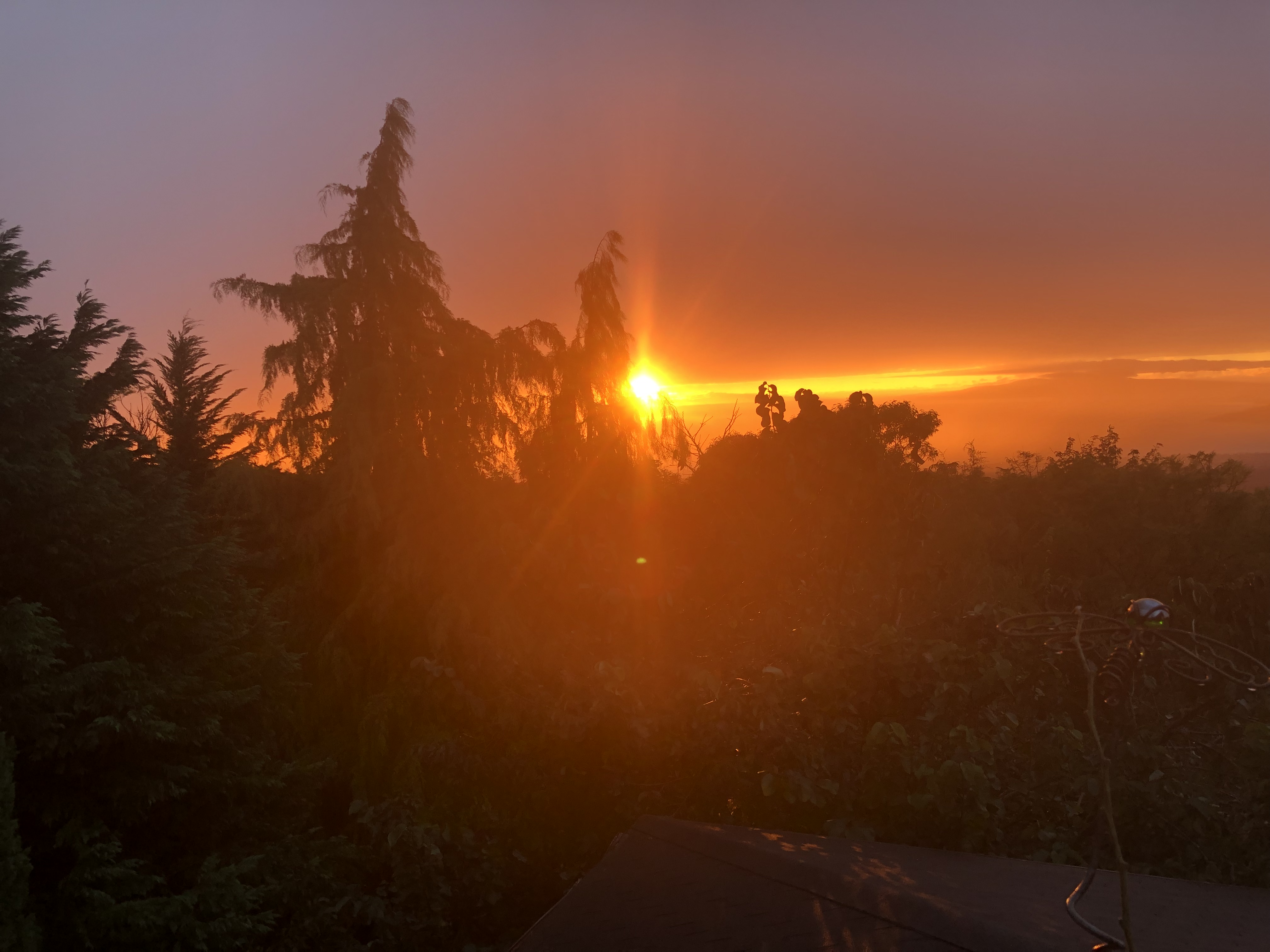 B226BDE6-39A0-45EC-A987-369143A7AEB7.jpeg