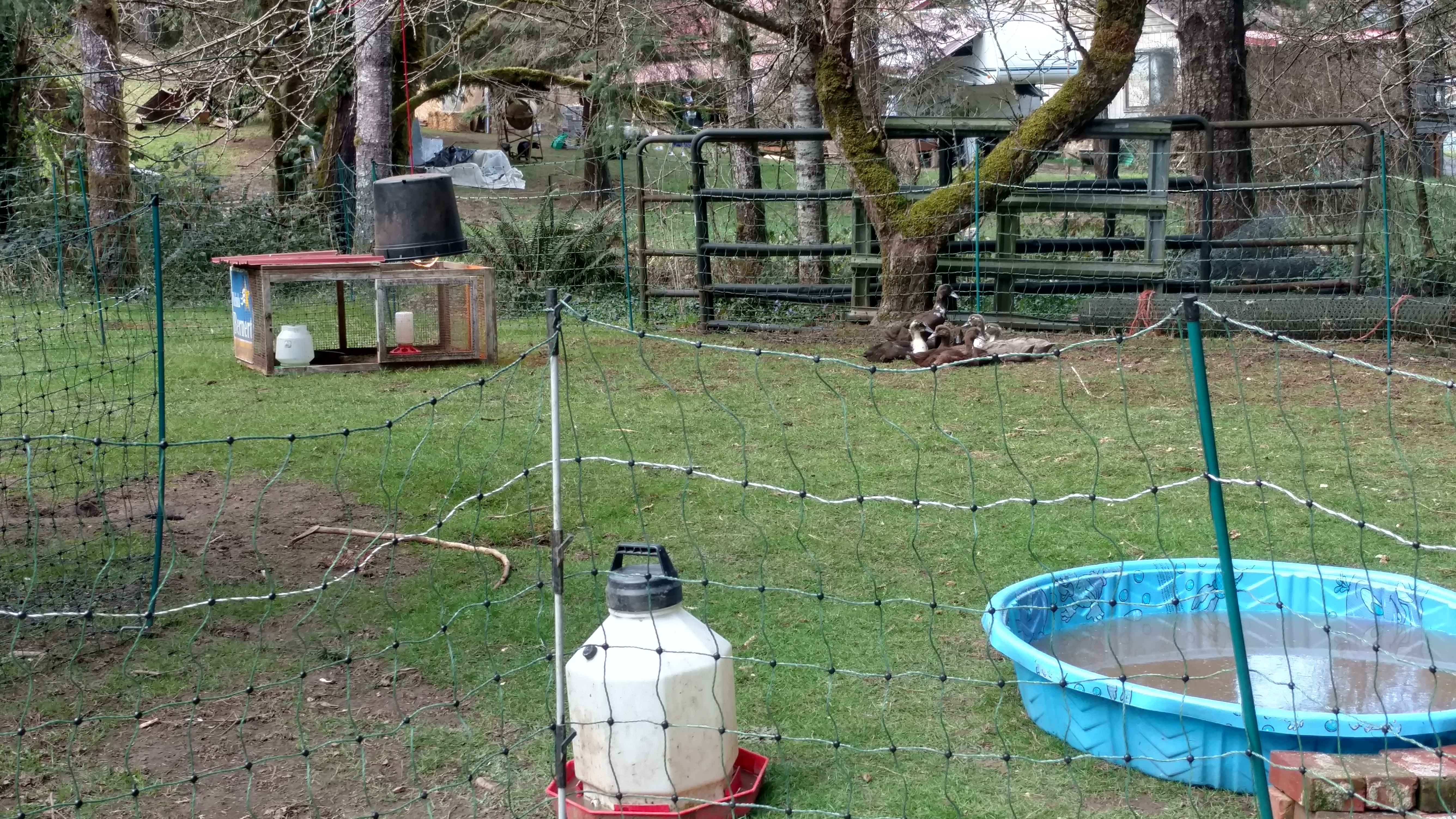 IMG_20190326_142250723_HDR (1).jpg