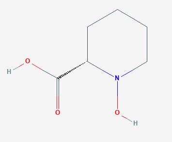 N-hydroxypipecolicacid.jpg