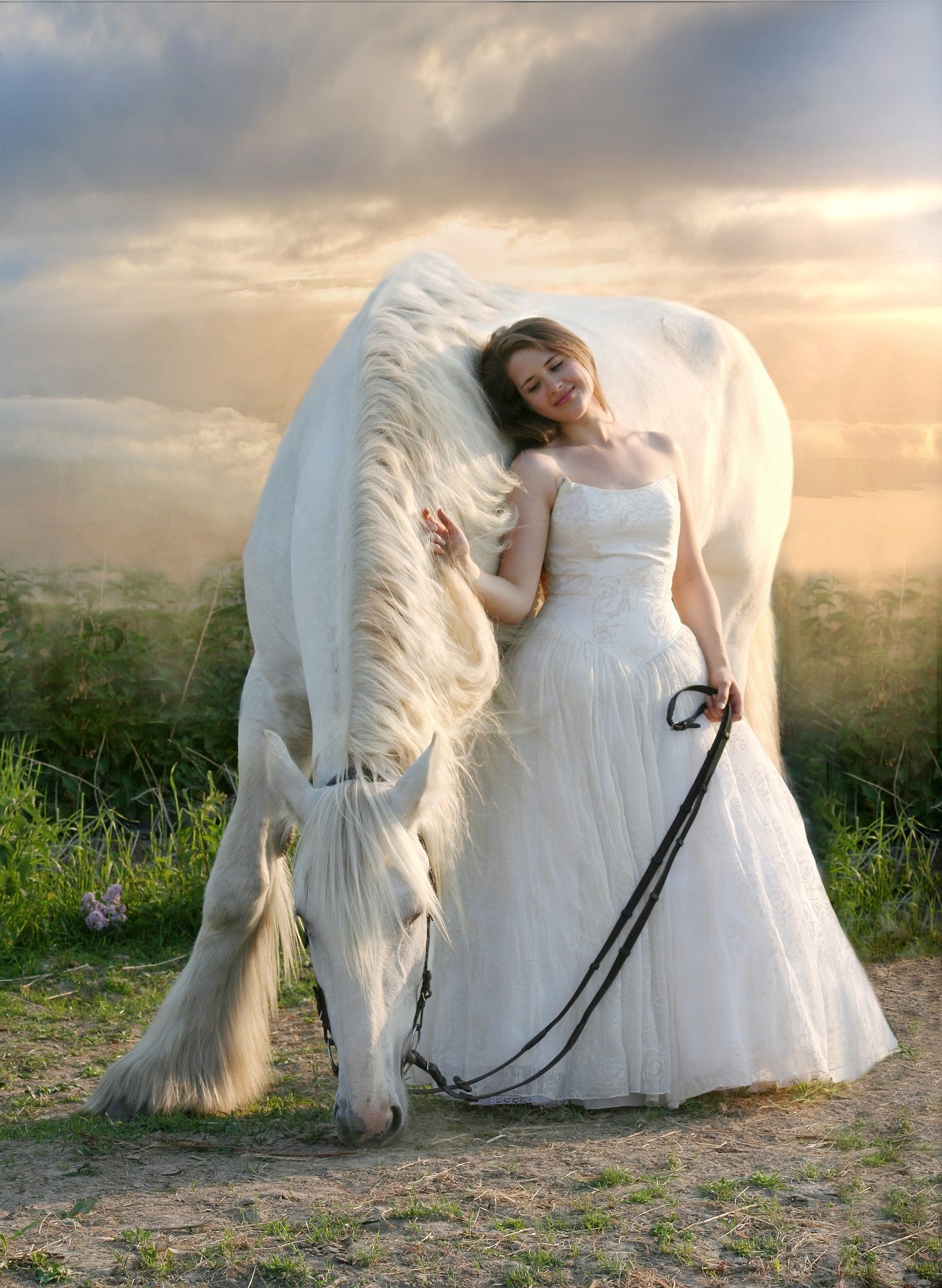 horse-3481756_1920.jpg