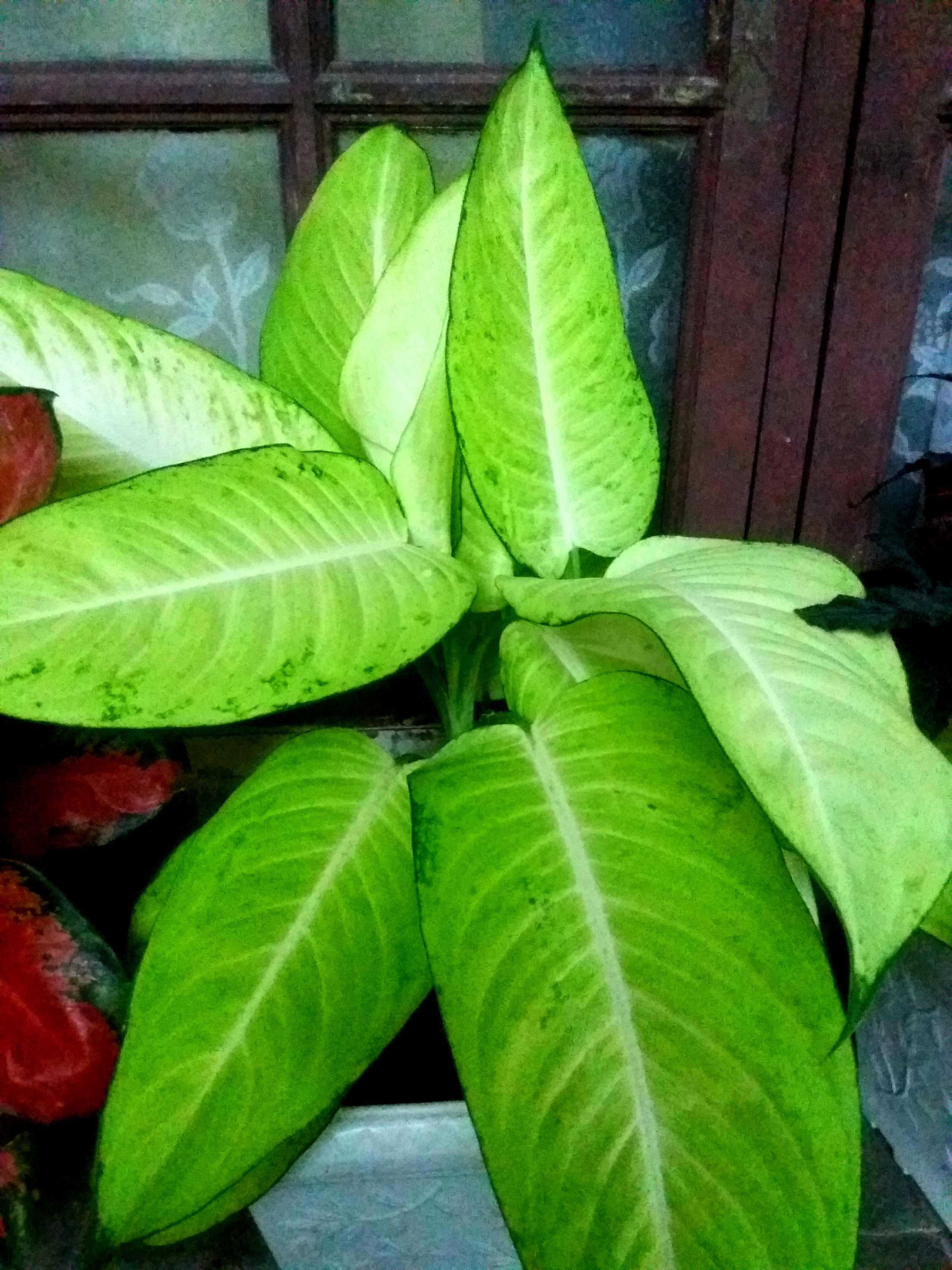 20210412_194804.jpg