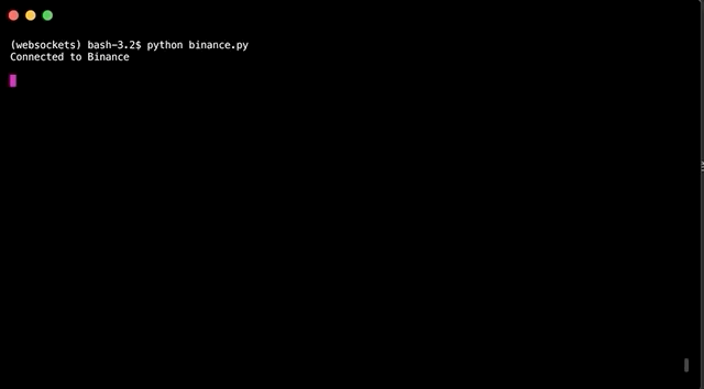 binance2.gif