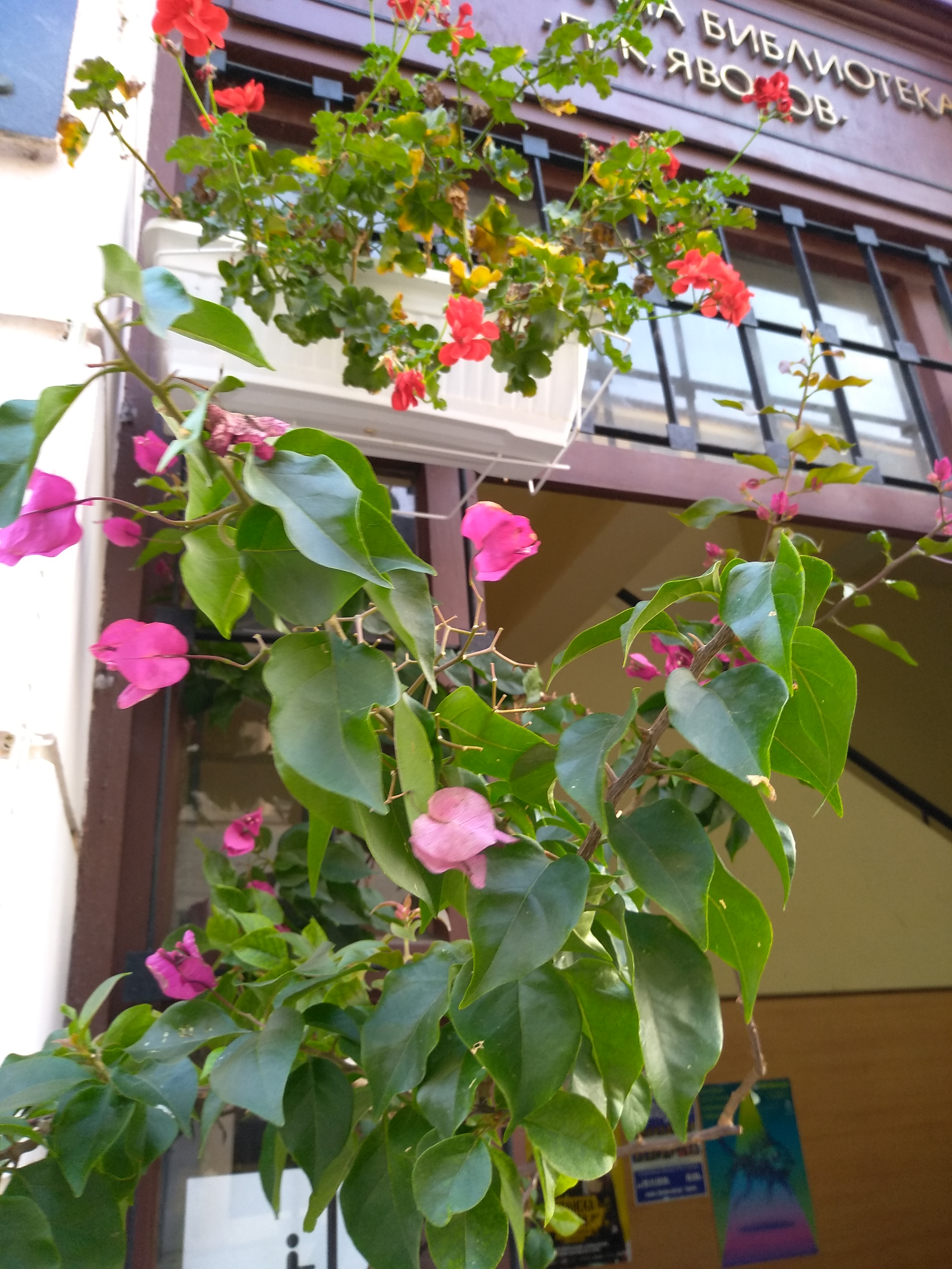 IMG_20191120_153339.jpg