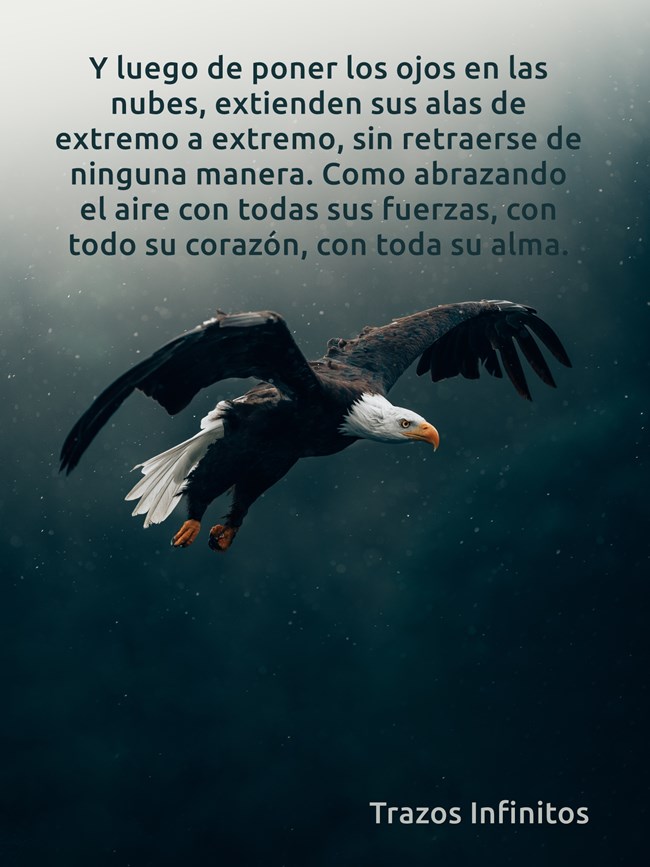 y-luego-de-poner-los-ojos-en-las-nubes-extienden-sus-alas.jpg