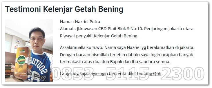 Kelenjar-Getah-bening.jpg