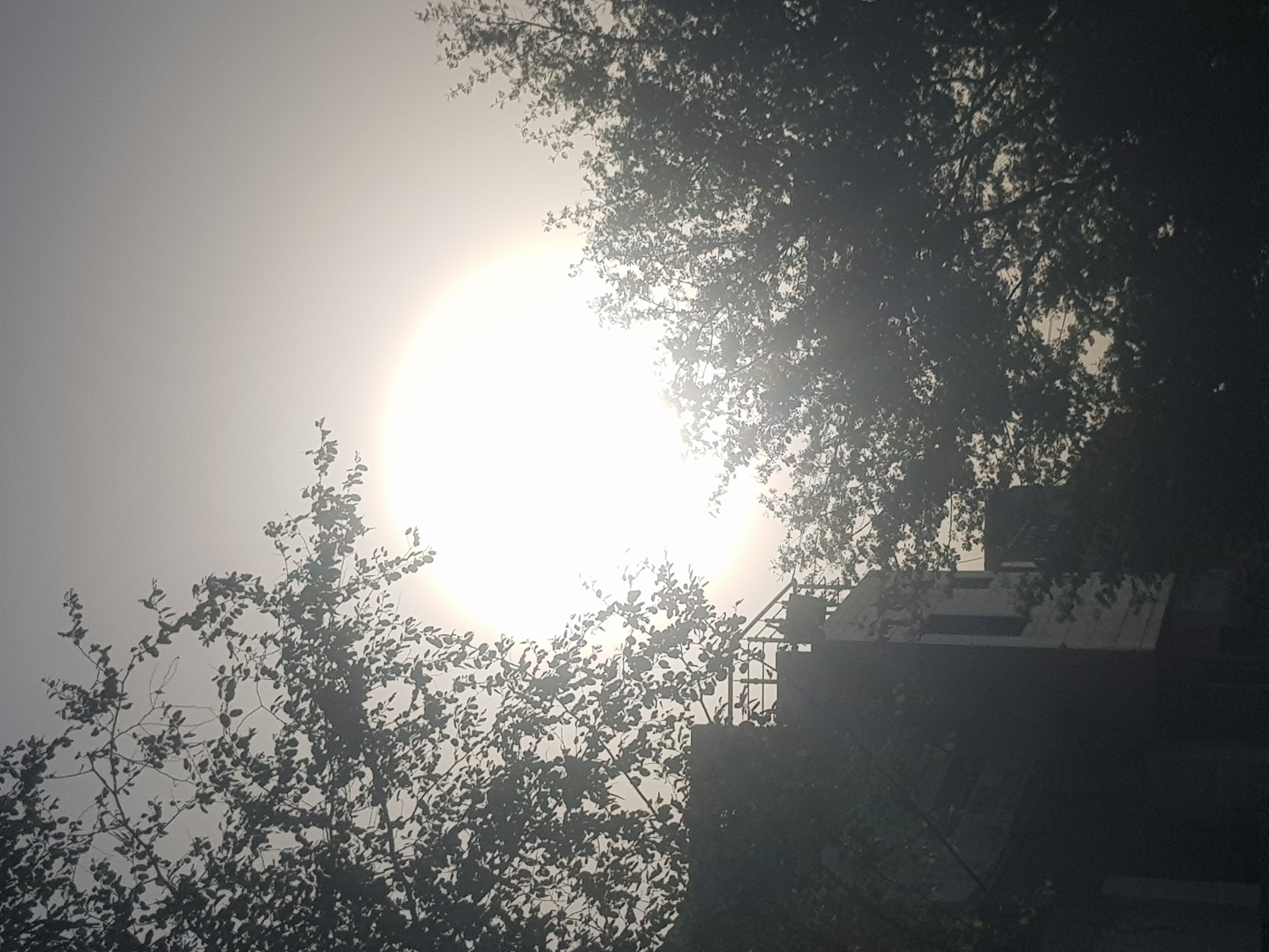 20210607_173553 - Copy.jpg