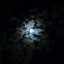 received_1183325905066254.jpeg