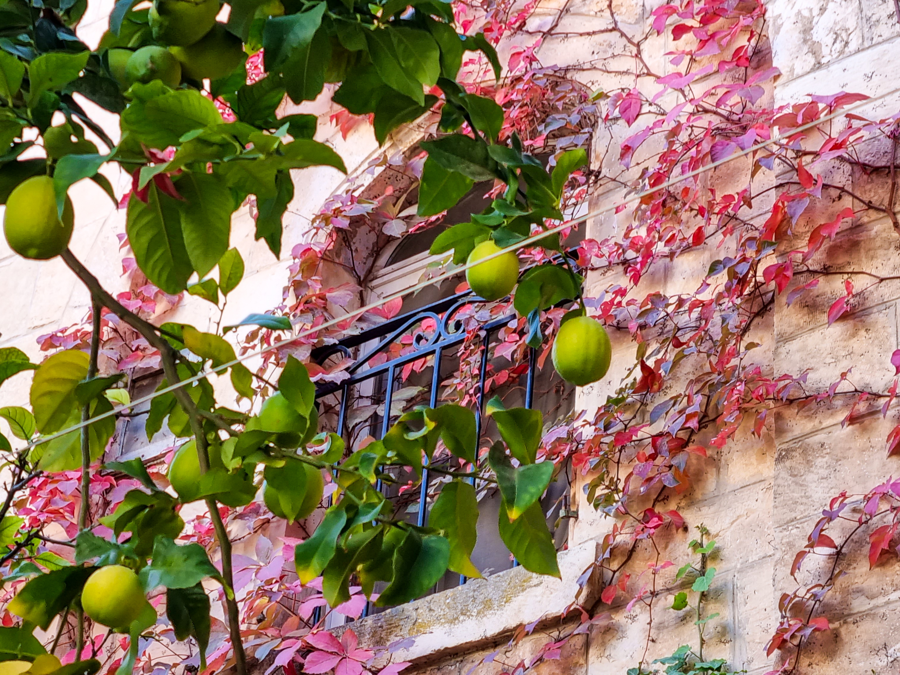 Echoes of Autumn