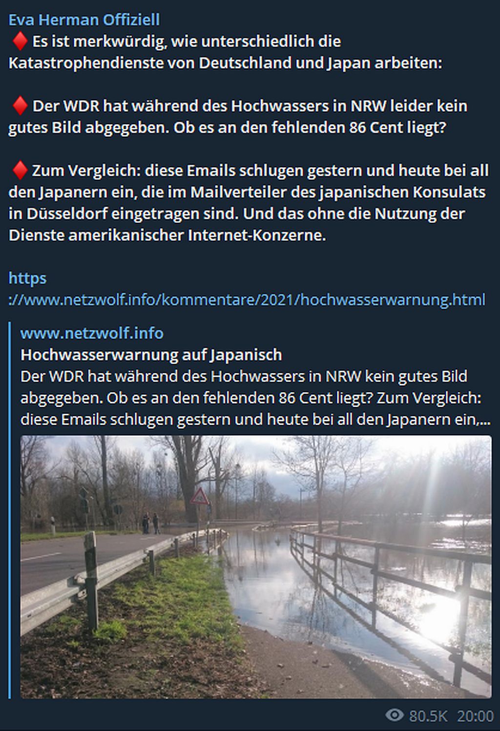Es ist merkwürdig, wie unterschiedlich die Katastrophendienste von Deutschland und Japan arbeiten.jpg