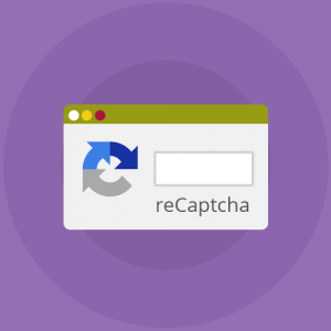 recaptcha-300x300.png