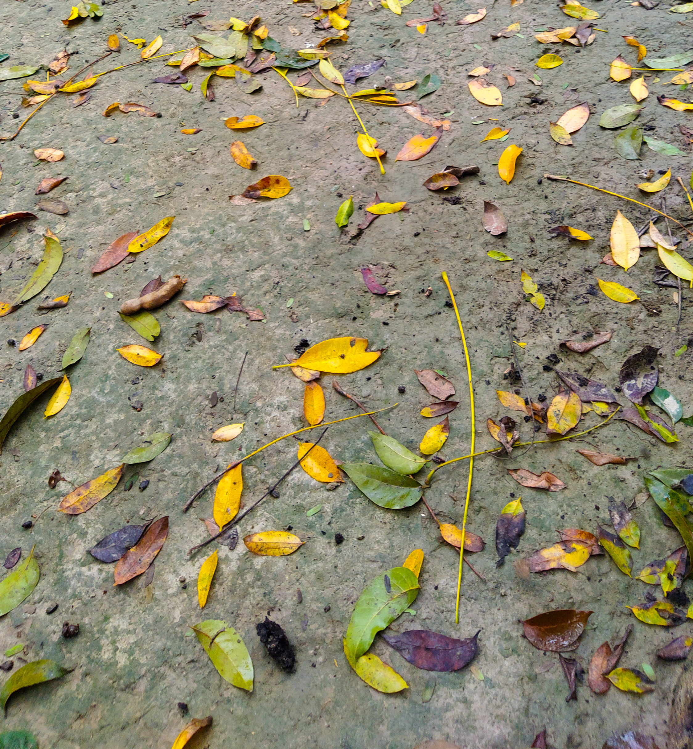 IMG_20200105_091616.jpg