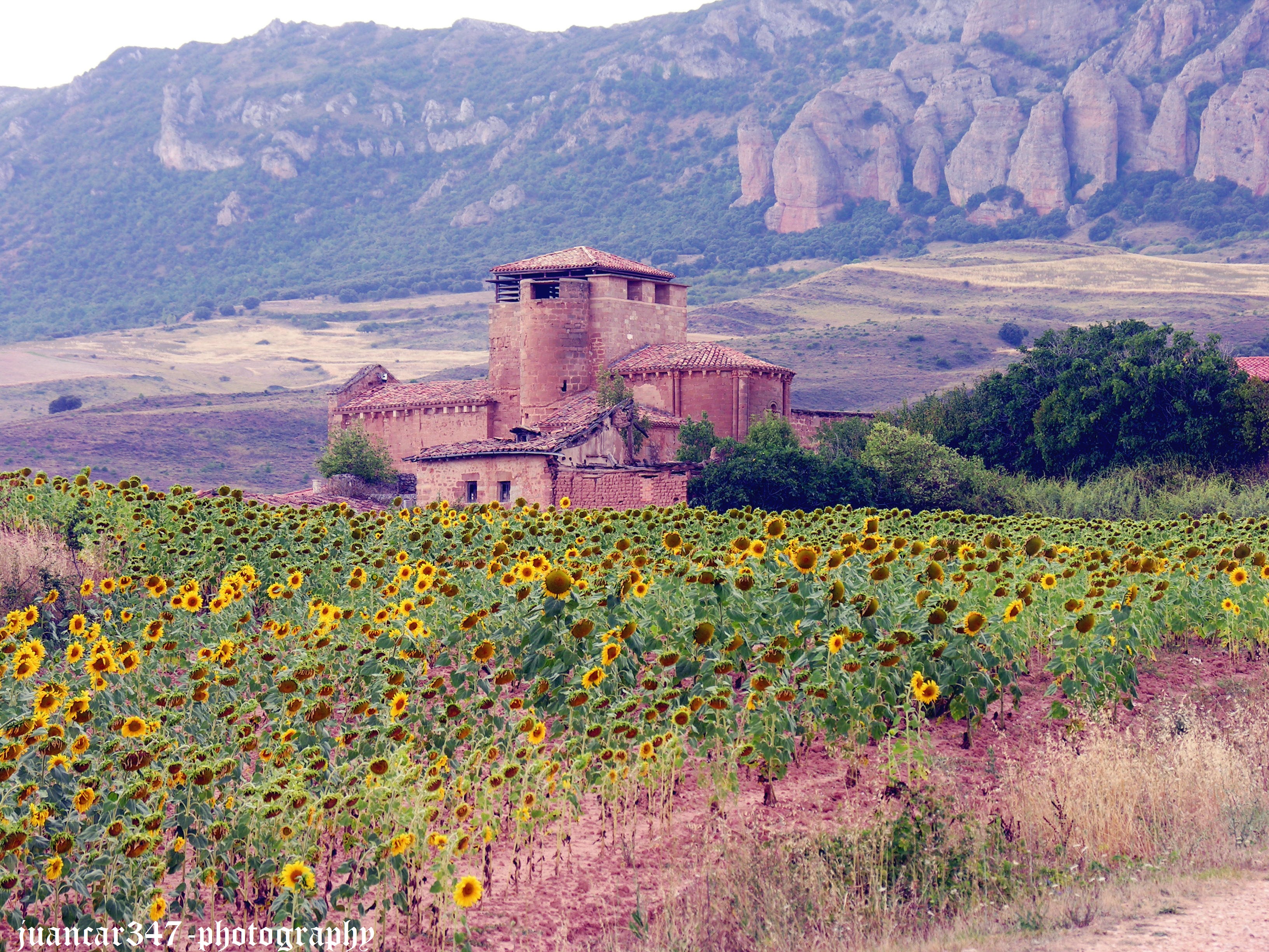 DSCN9748_2copia.jpg