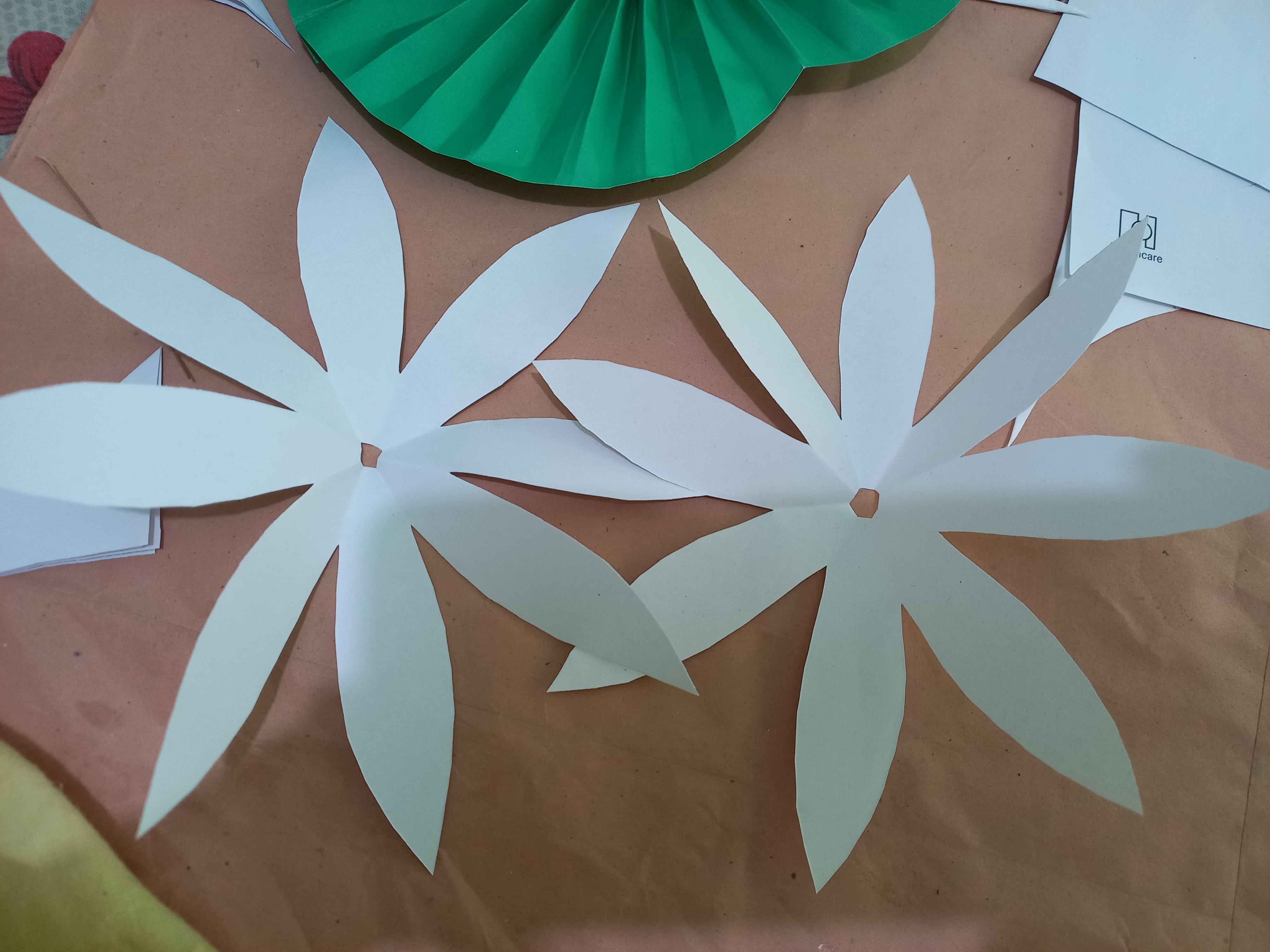 20220126_114909.jpg