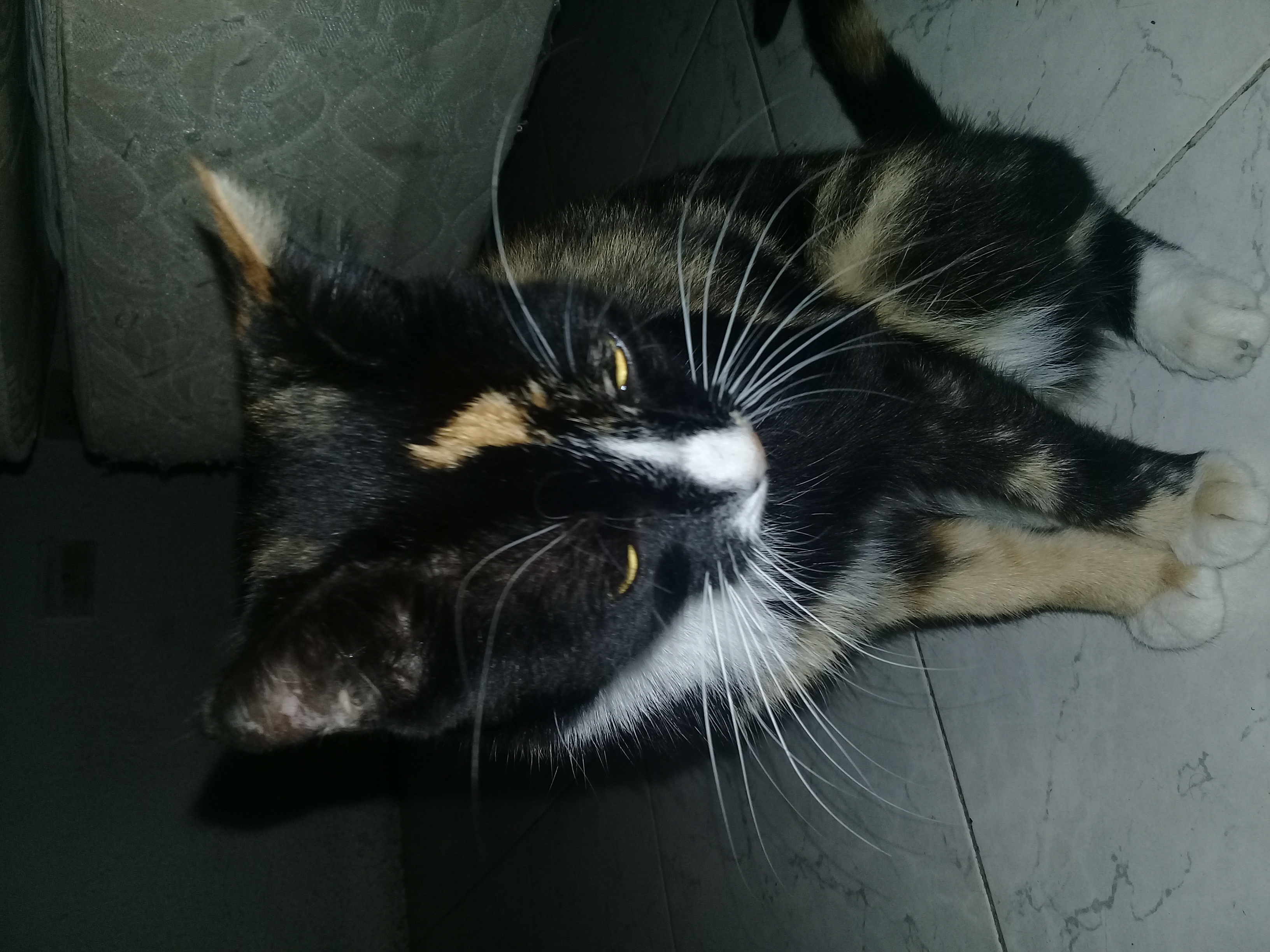 20180326_224840.jpg