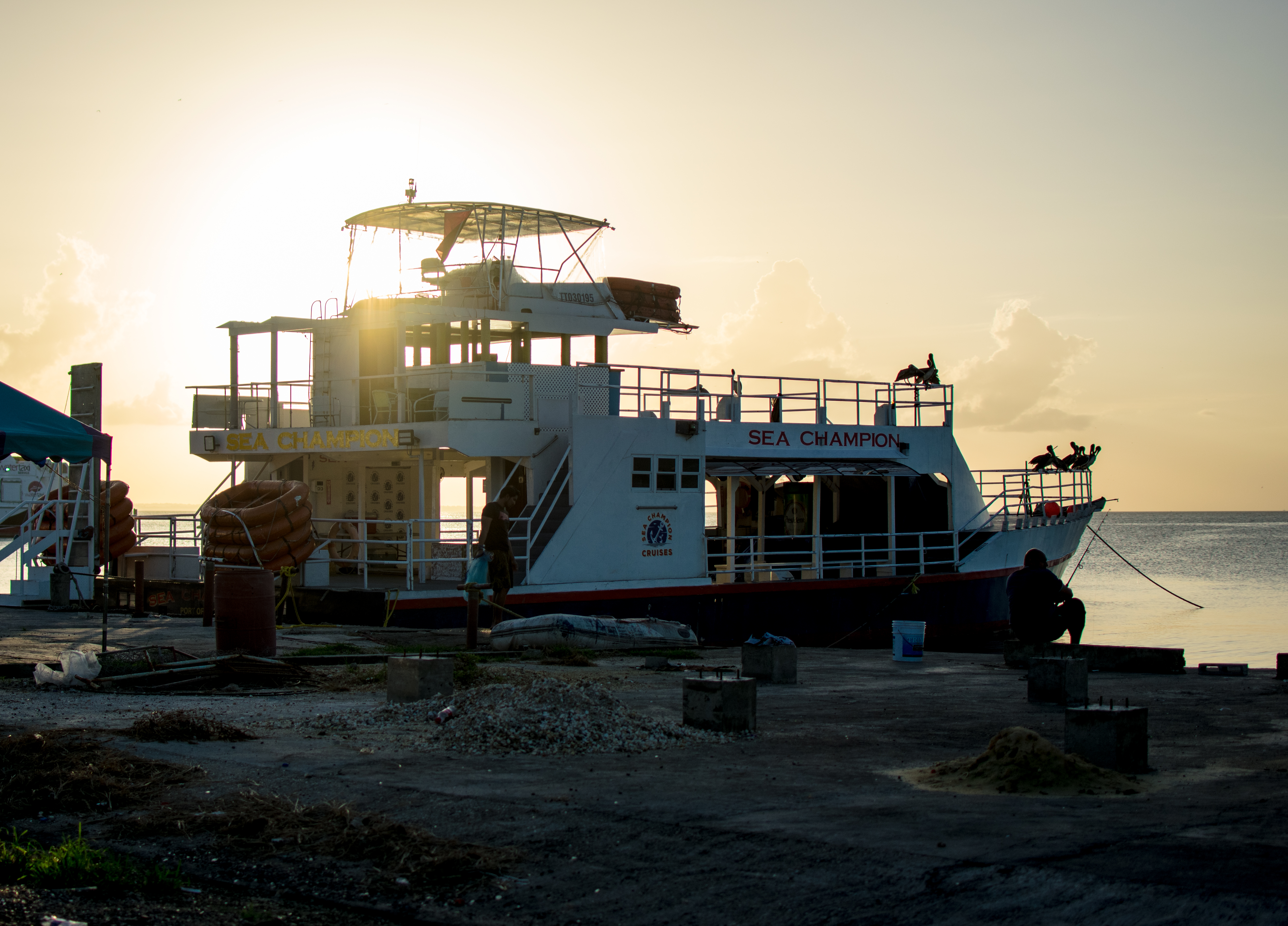 DSC_0142.jpg