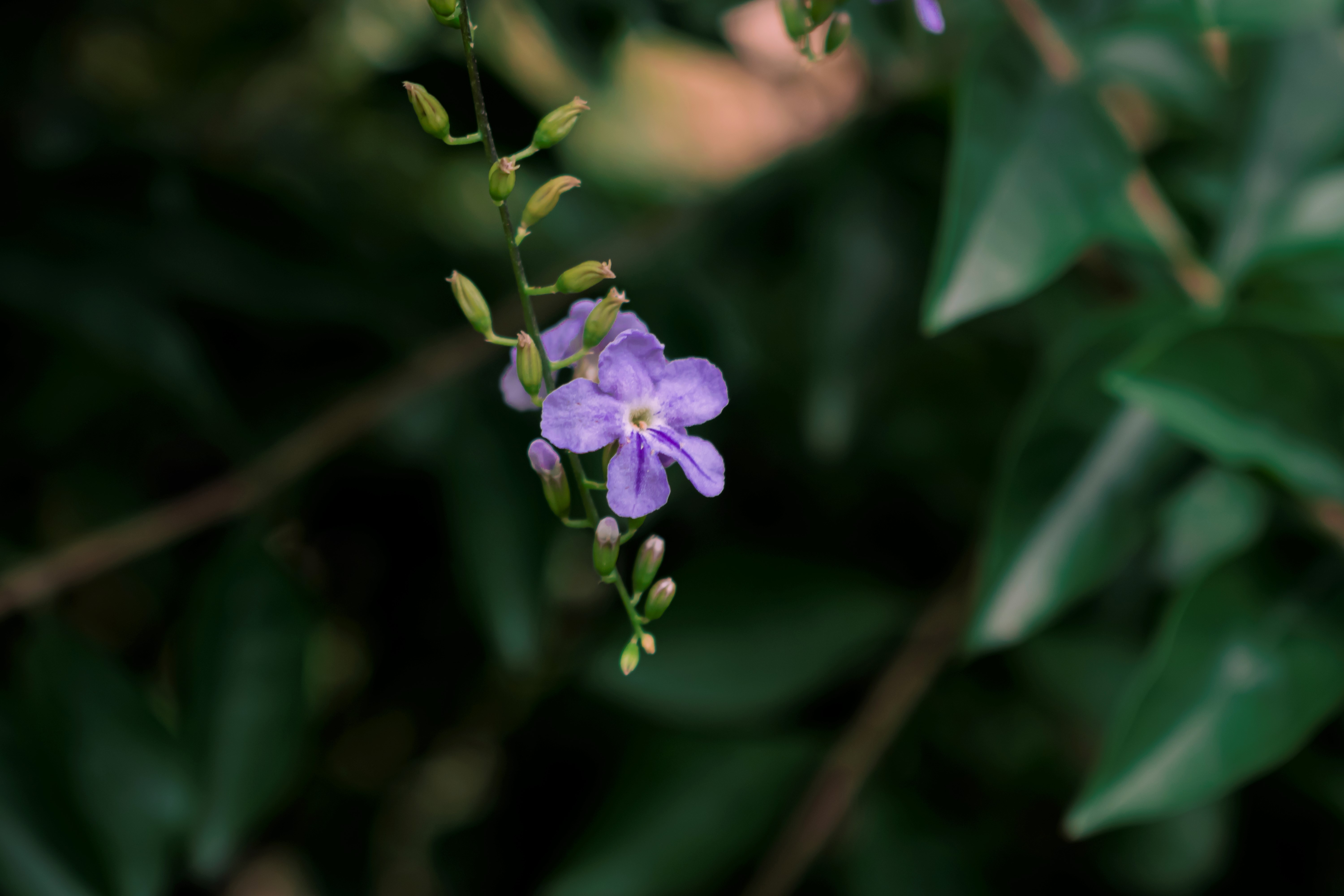 CHN_0373.jpg