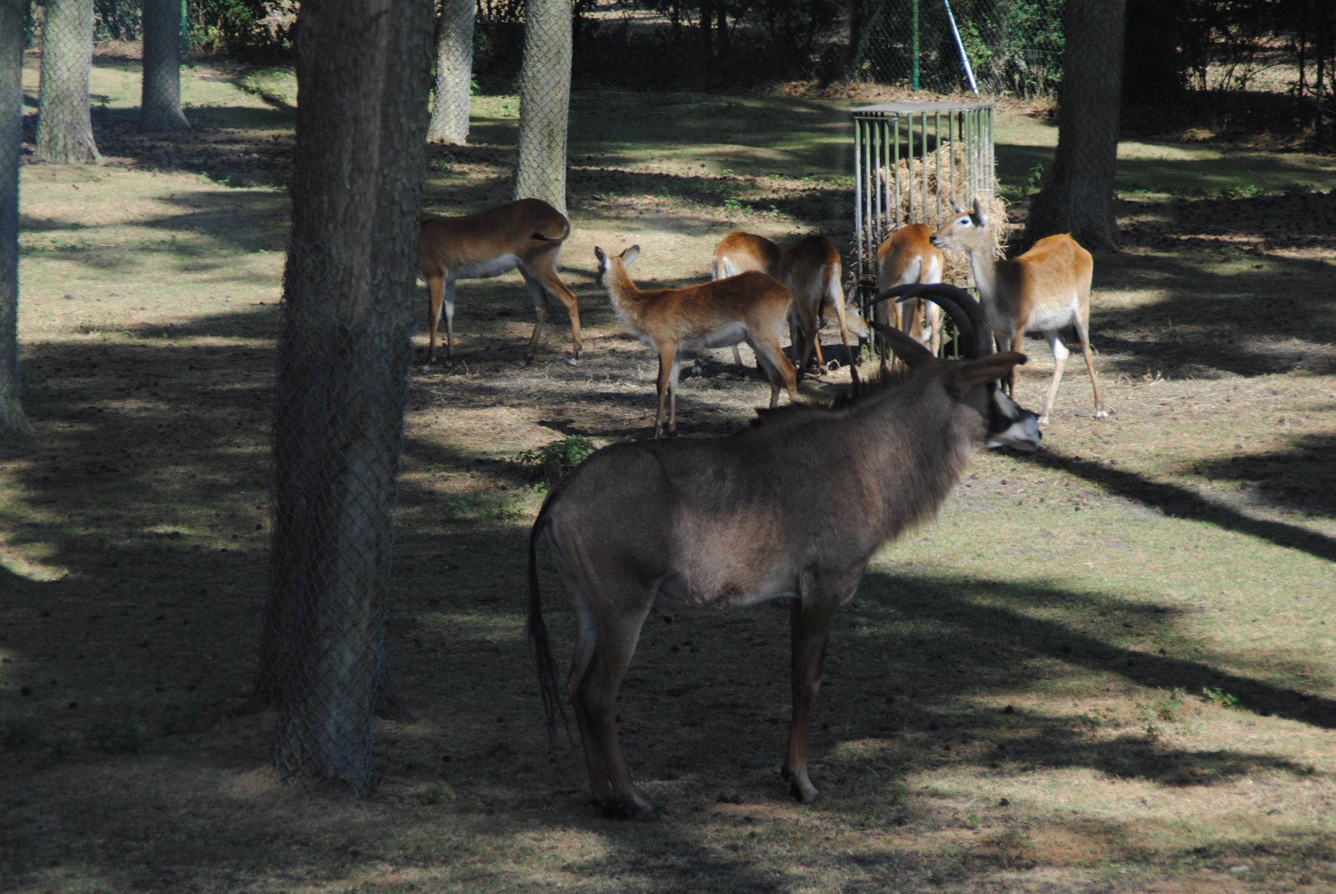 image011.jpg