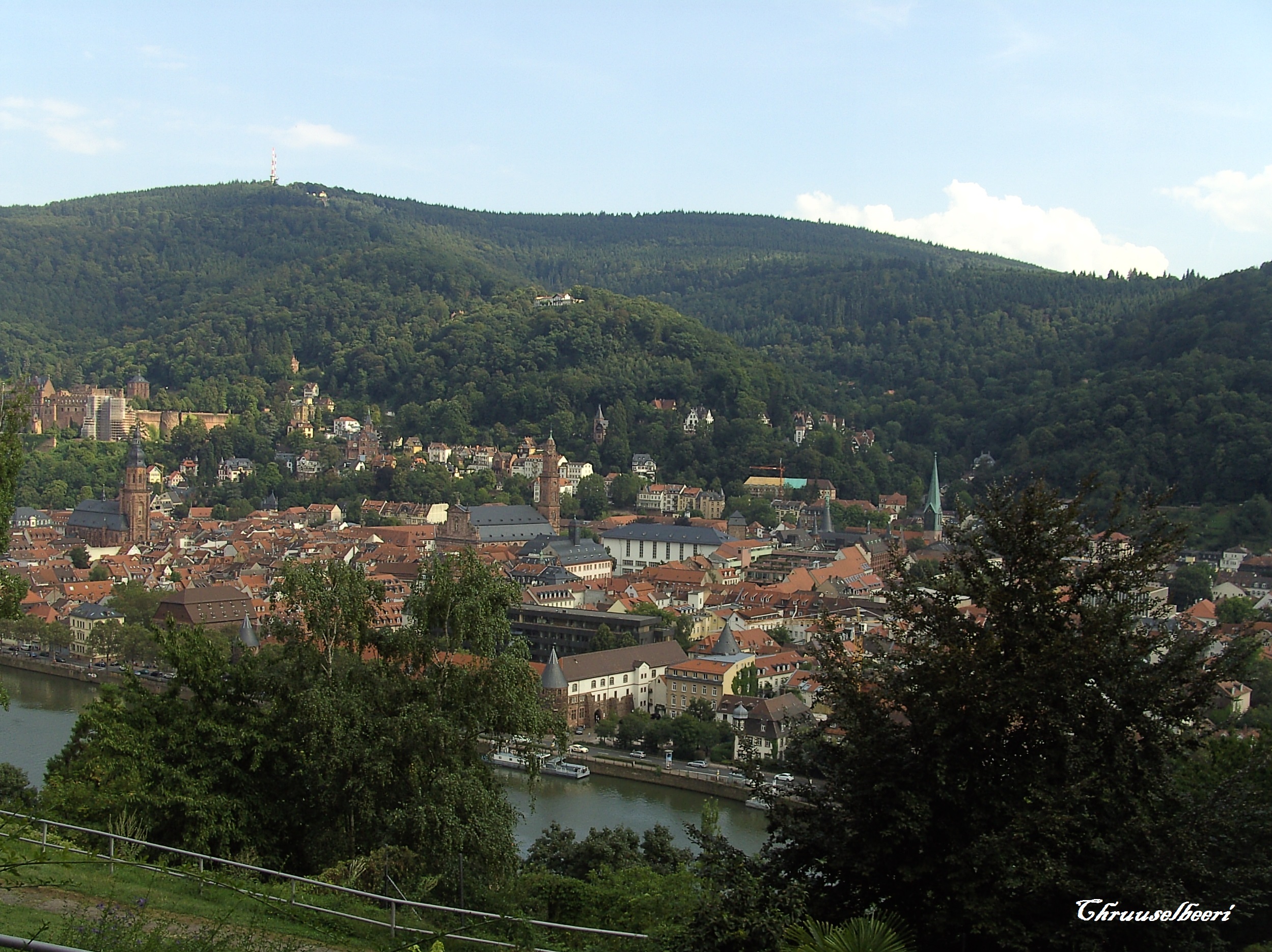 Aussicht_02.jpg