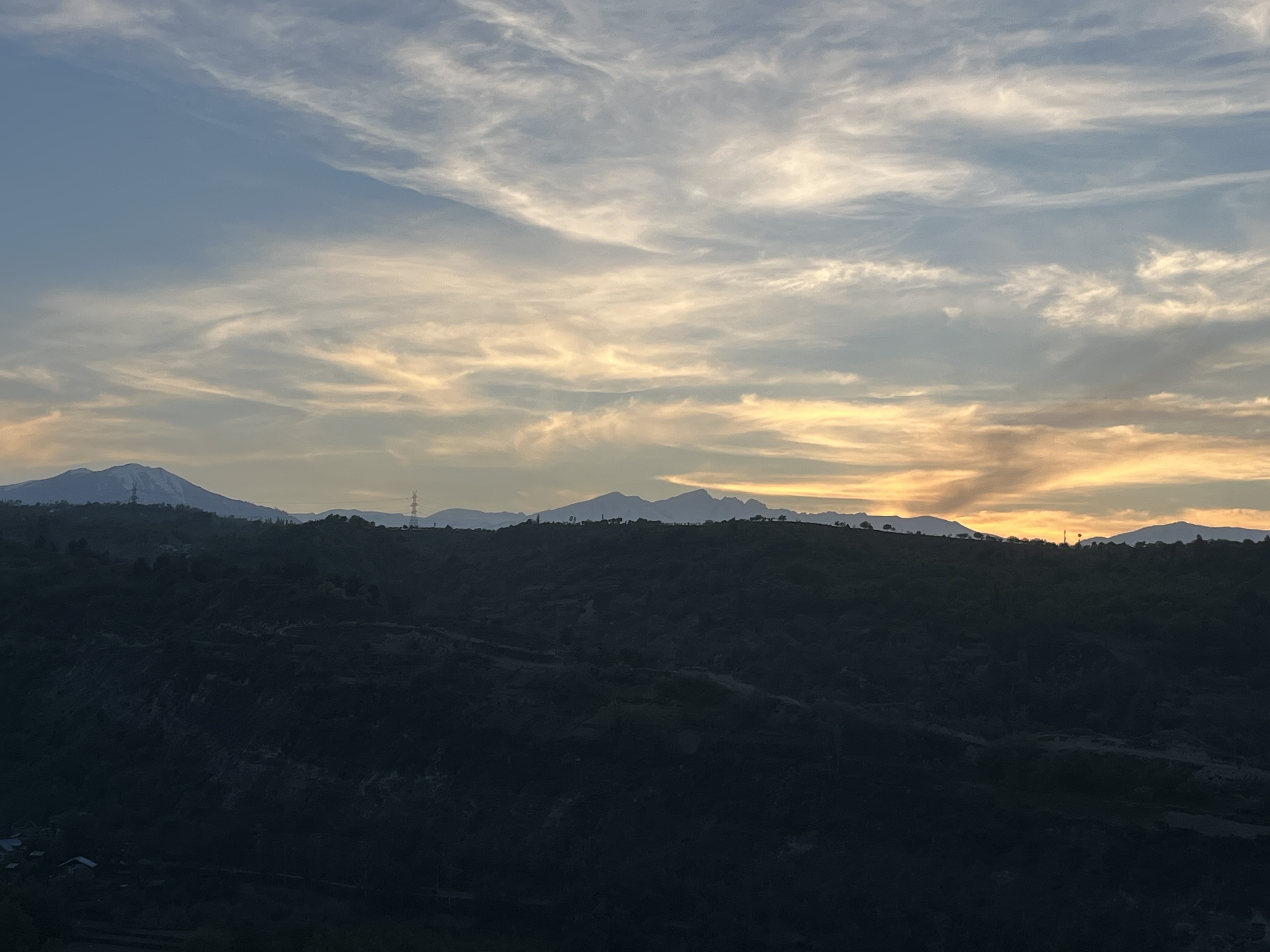 IMG_8759.jpeg