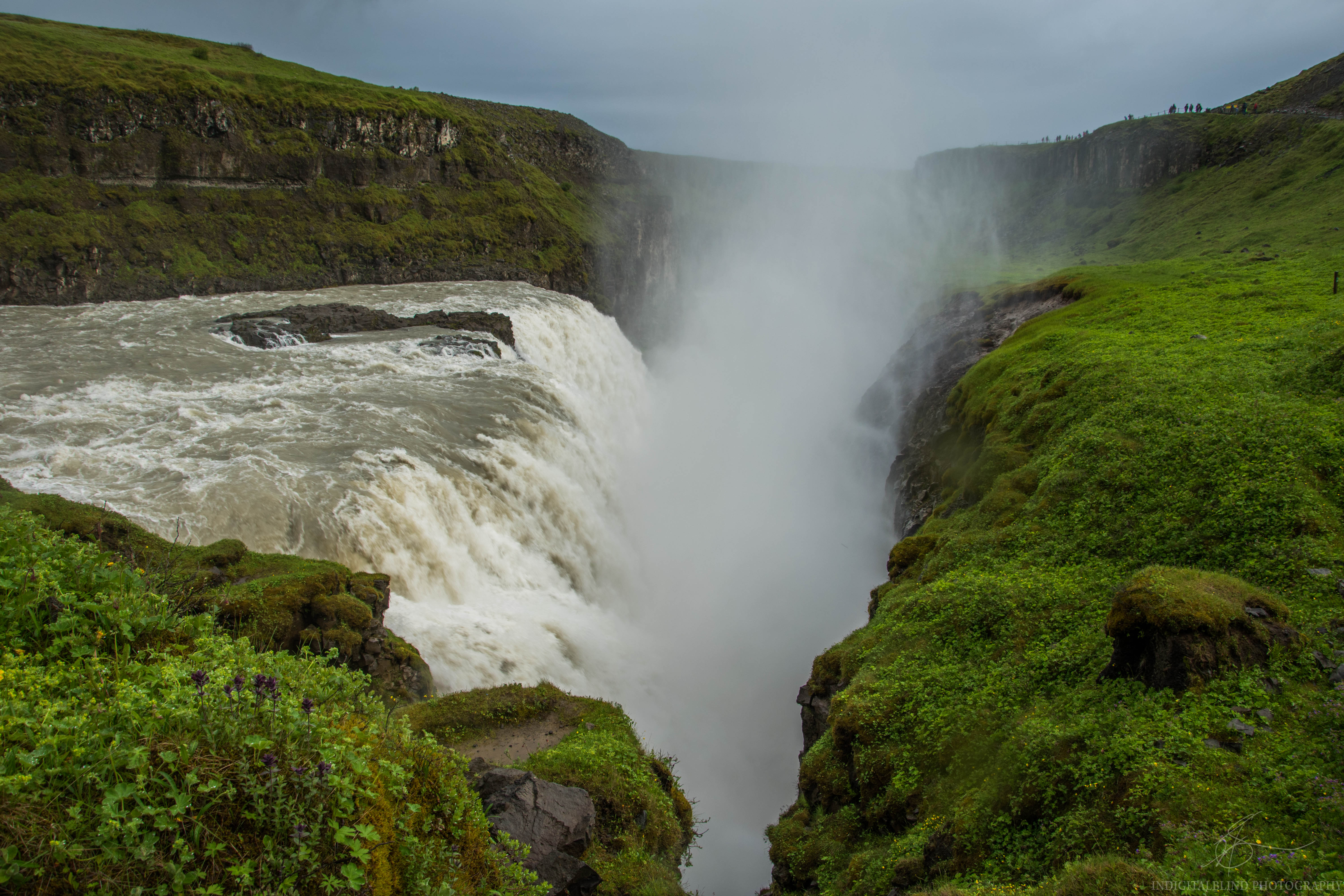 DSC_0281.jpg