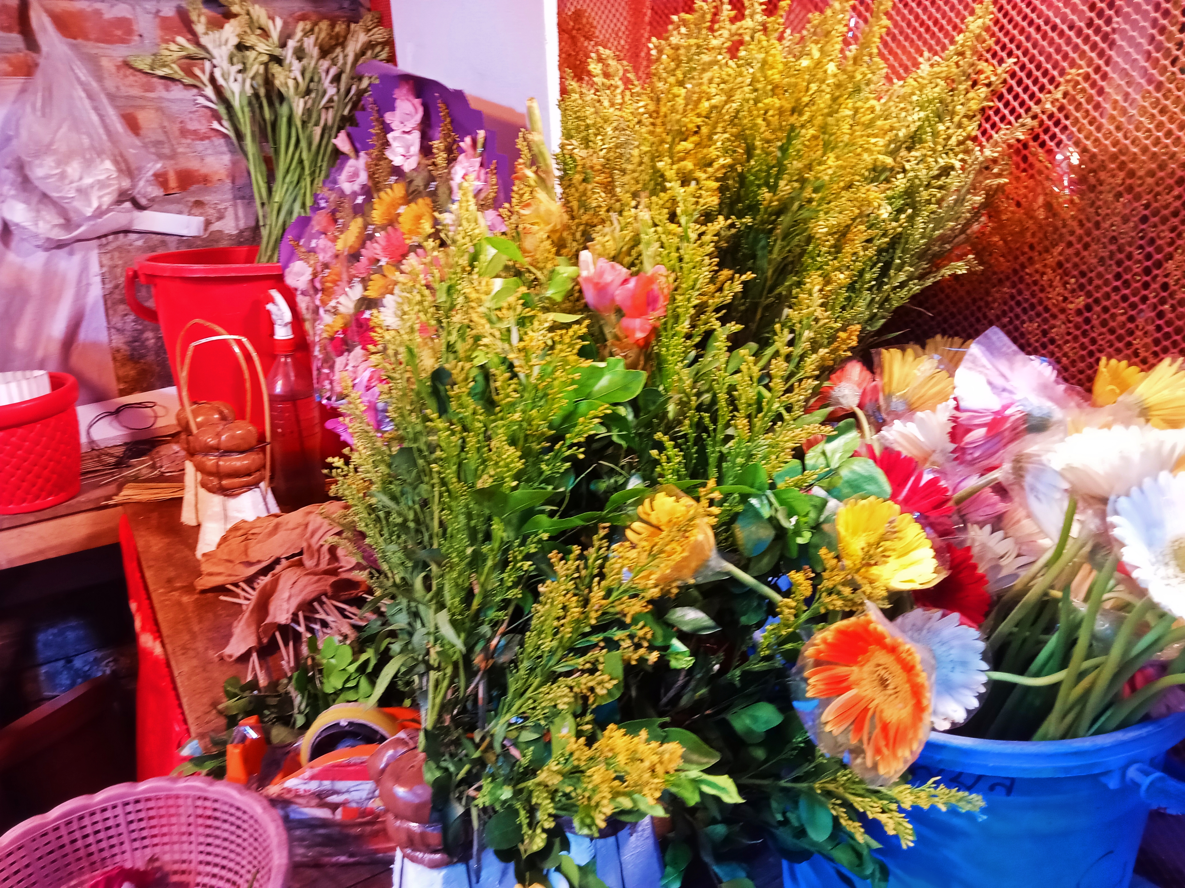 IMG_20260510_084251.jpg