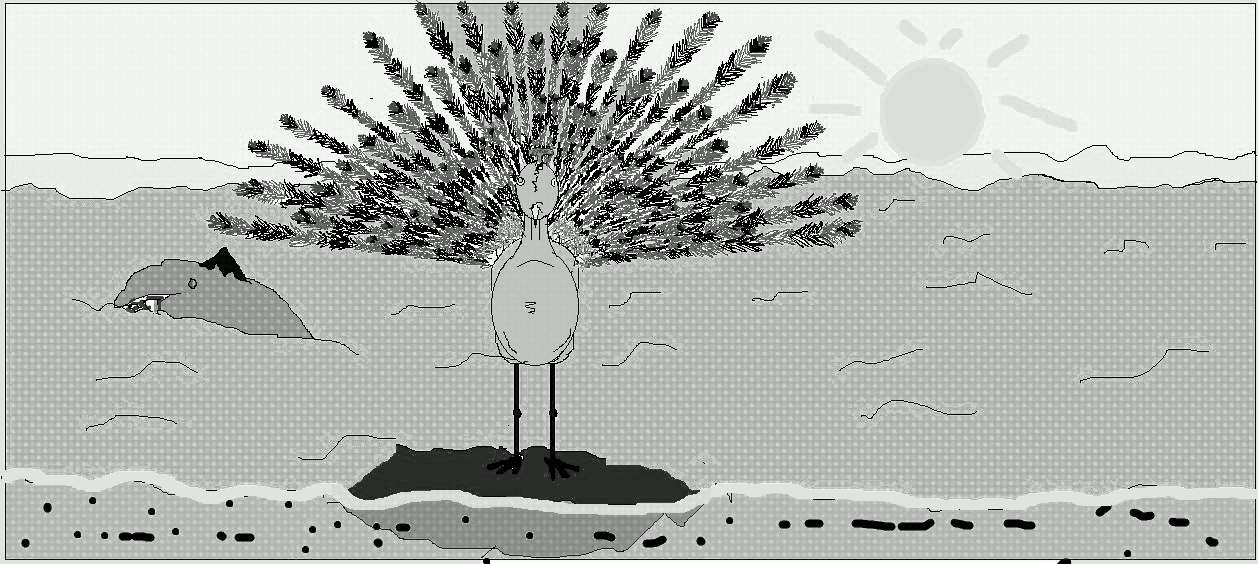 ti10copy_edit1_edit.bmp