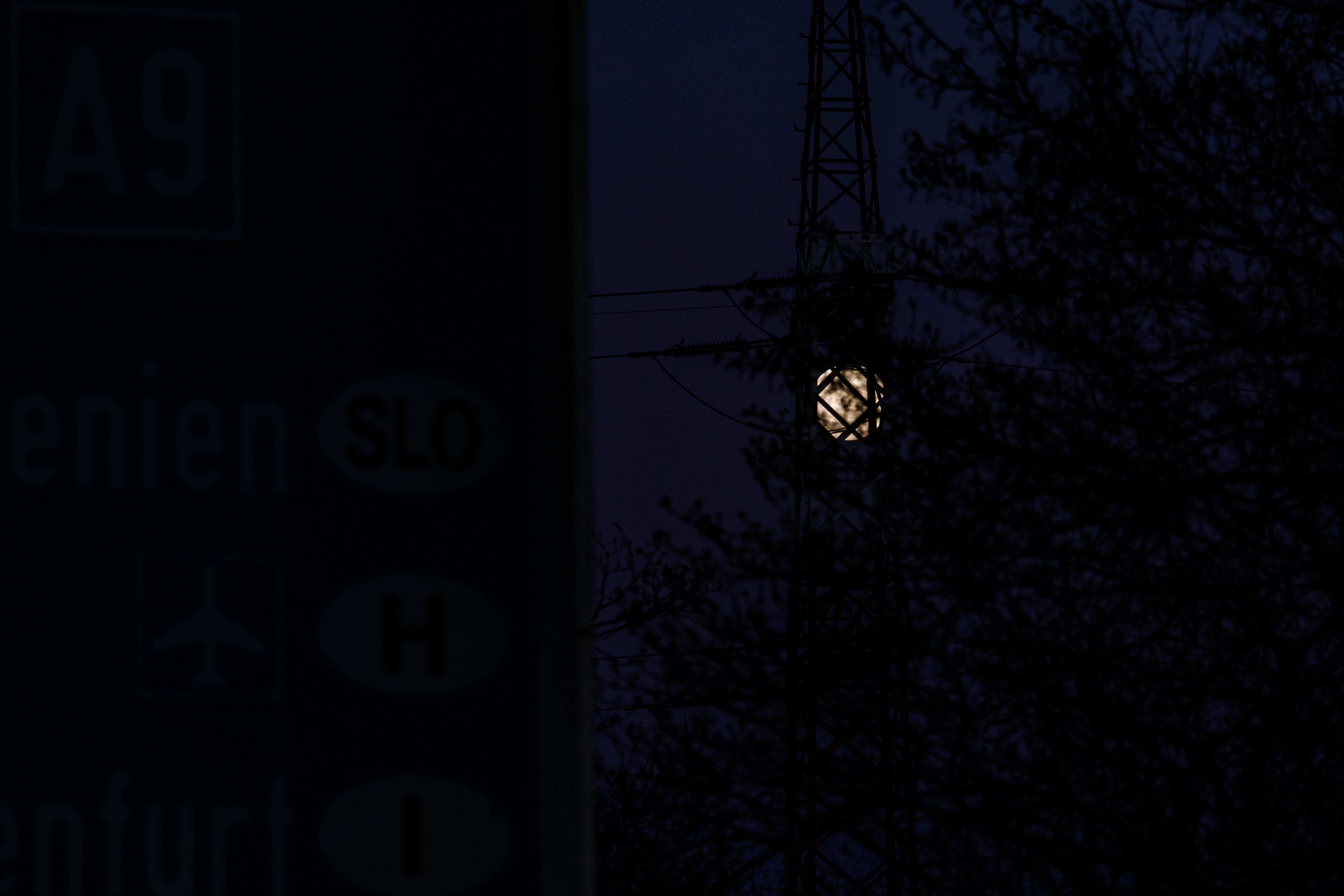 IMG_9788b.jpg